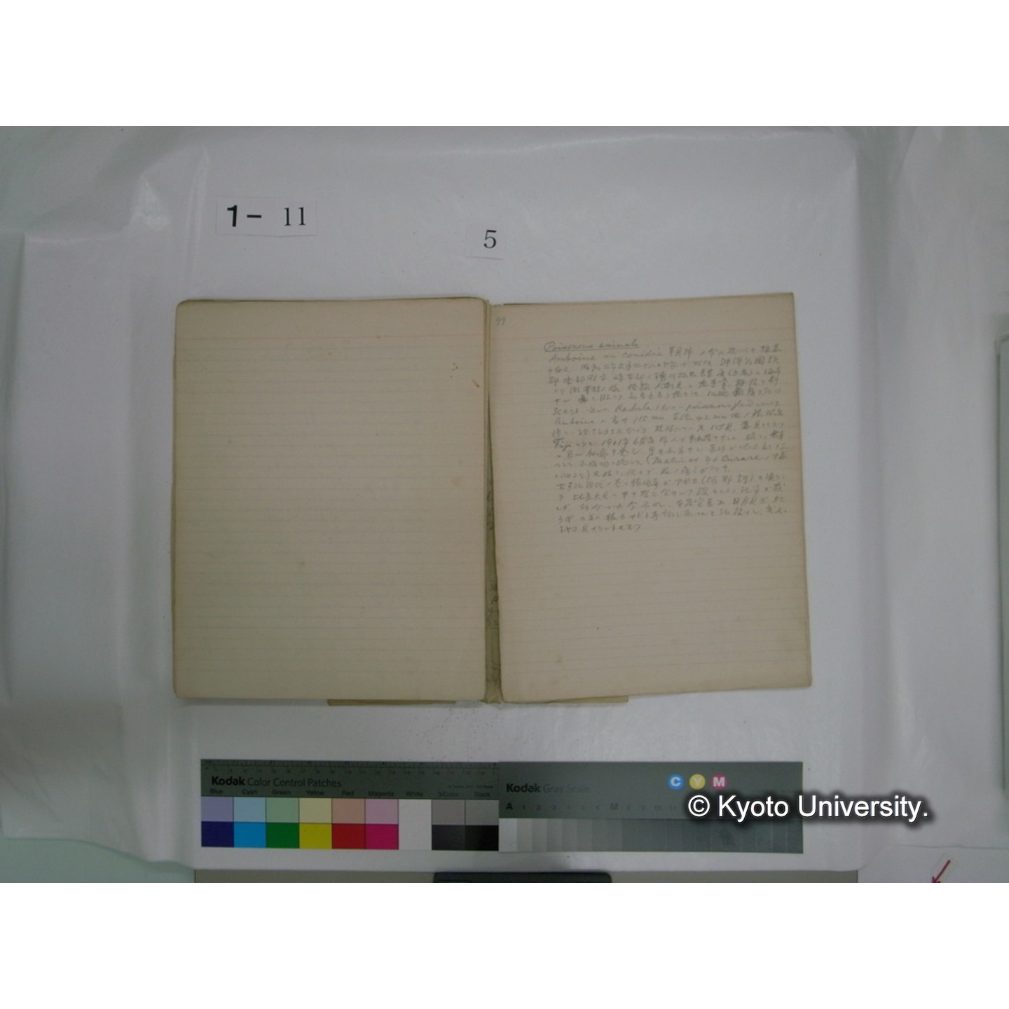 生態学原稿自著 [直筆原稿]/ (川村多實二) (61)