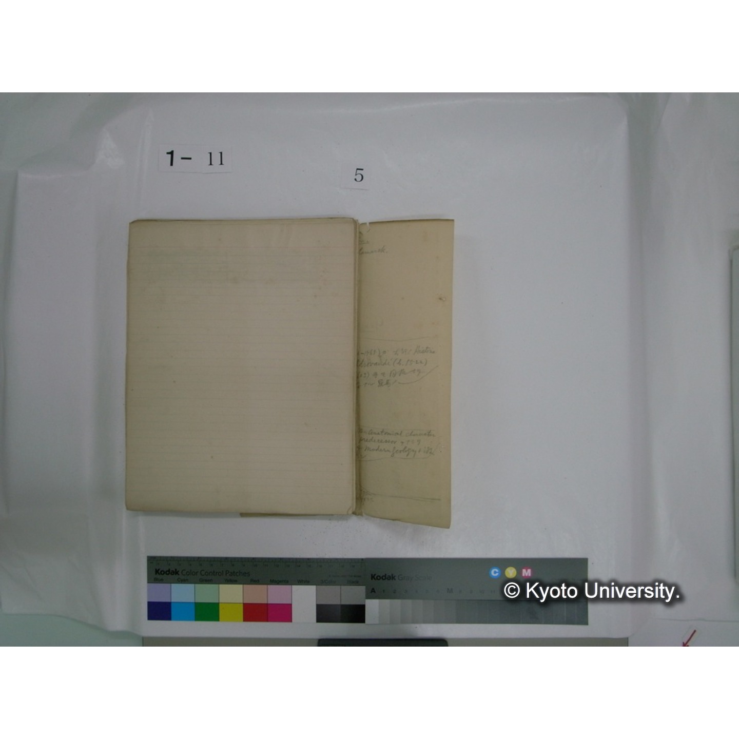 生態学原稿自著 [直筆原稿]/ (川村多實二) (62)