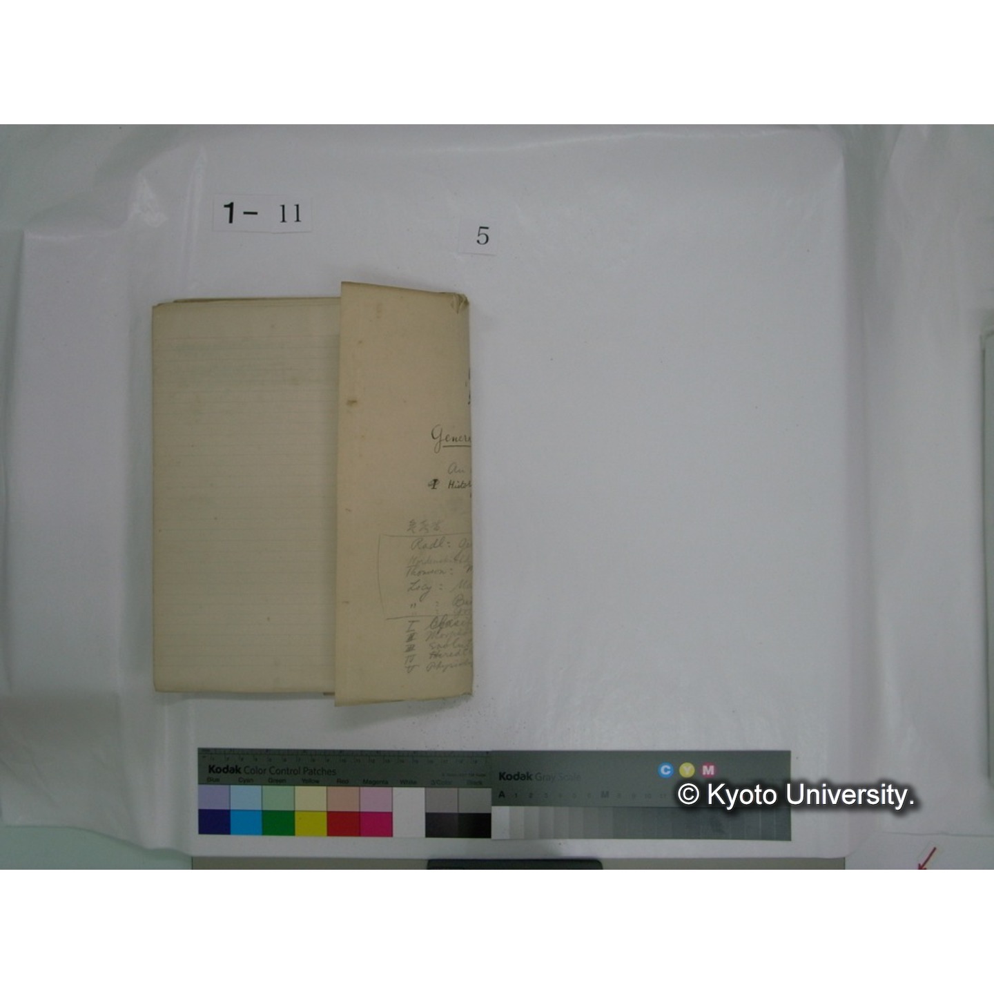 生態学原稿自著 [直筆原稿]/ (川村多實二) (63)