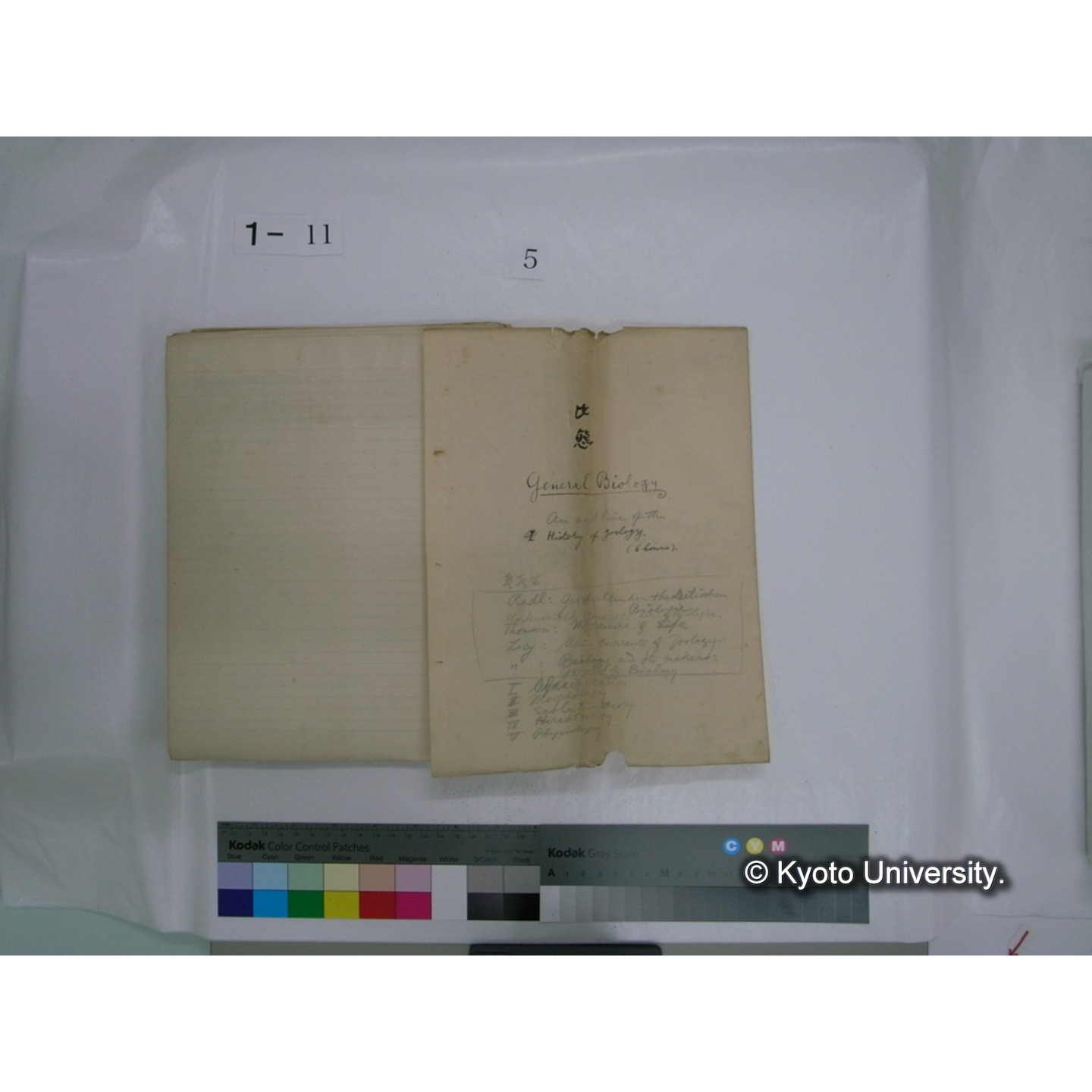 生態学原稿自著 [直筆原稿]/ (川村多實二) (64)