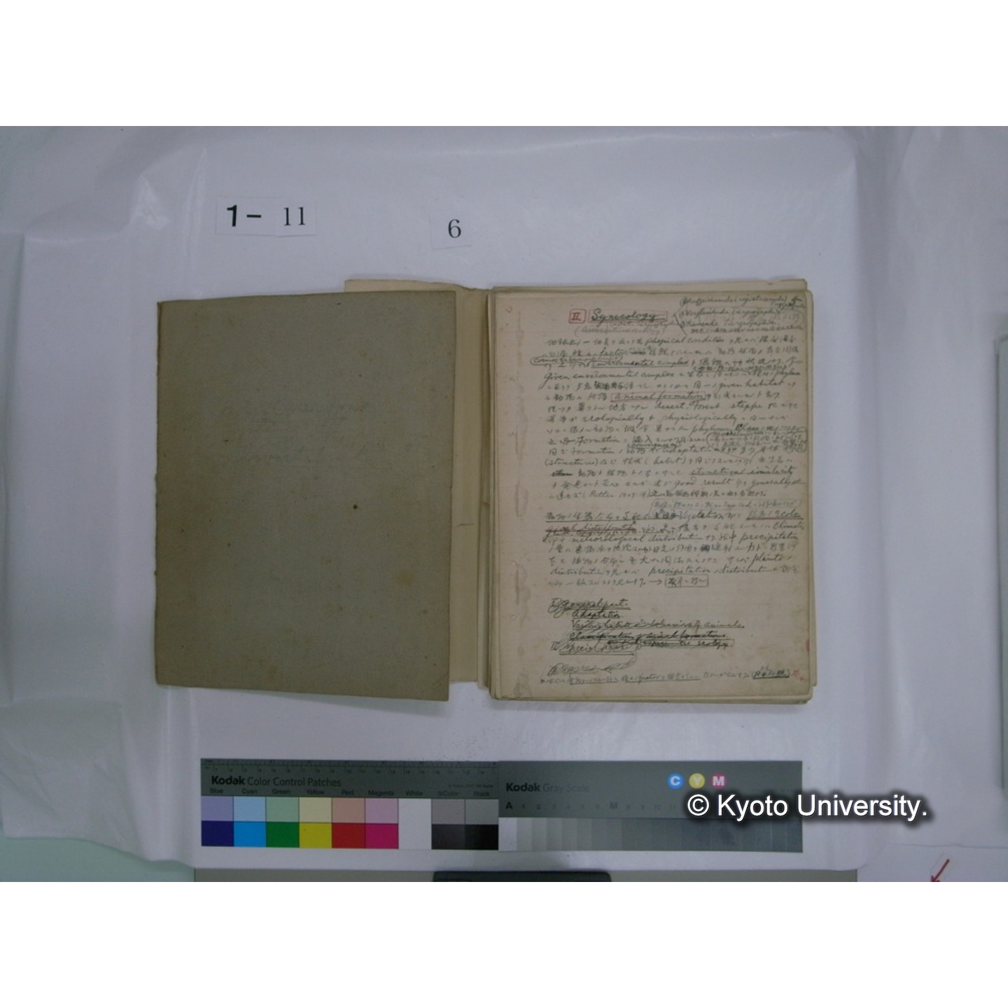 生態学原稿自著 [直筆原稿]/ (川村多實二) (66)