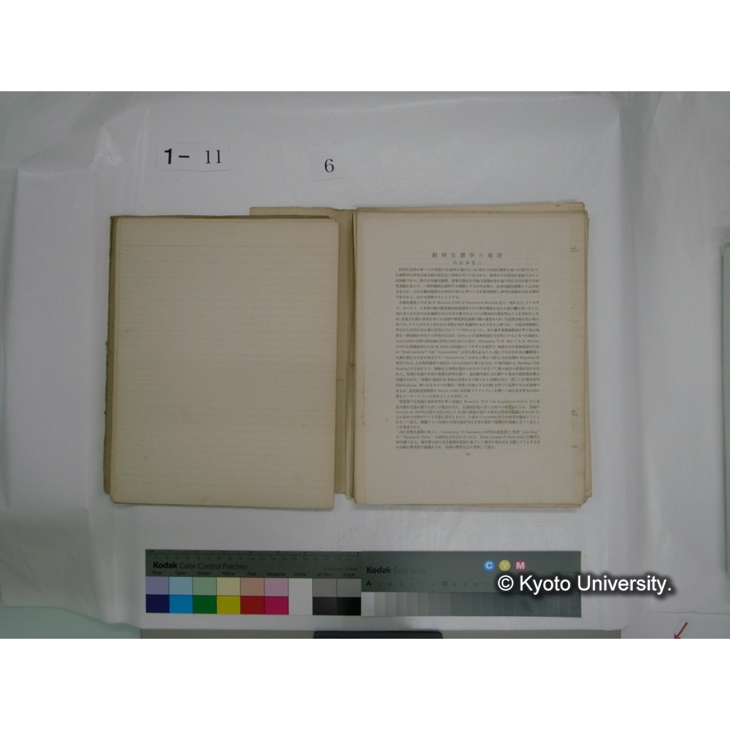 生態学原稿自著 [直筆原稿]/ (川村多實二) (67)