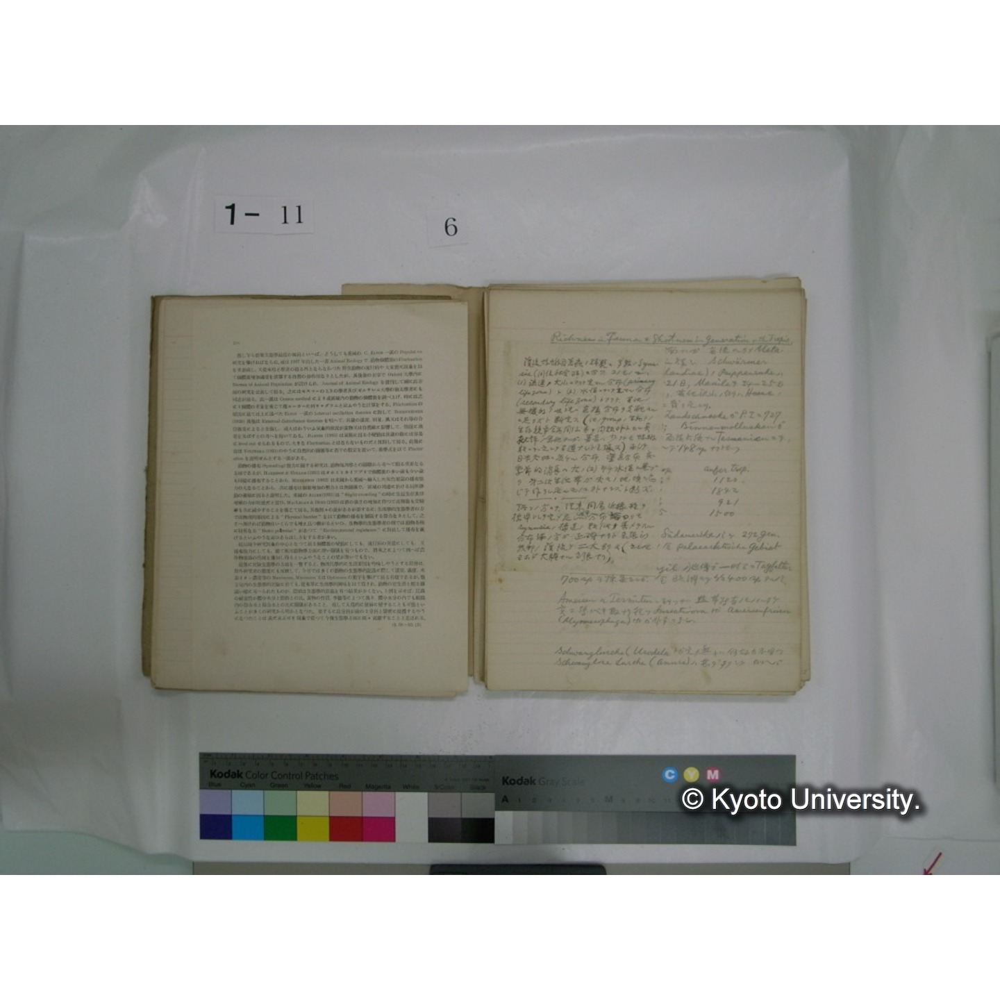 生態学原稿自著 [直筆原稿]/ (川村多實二) (68)