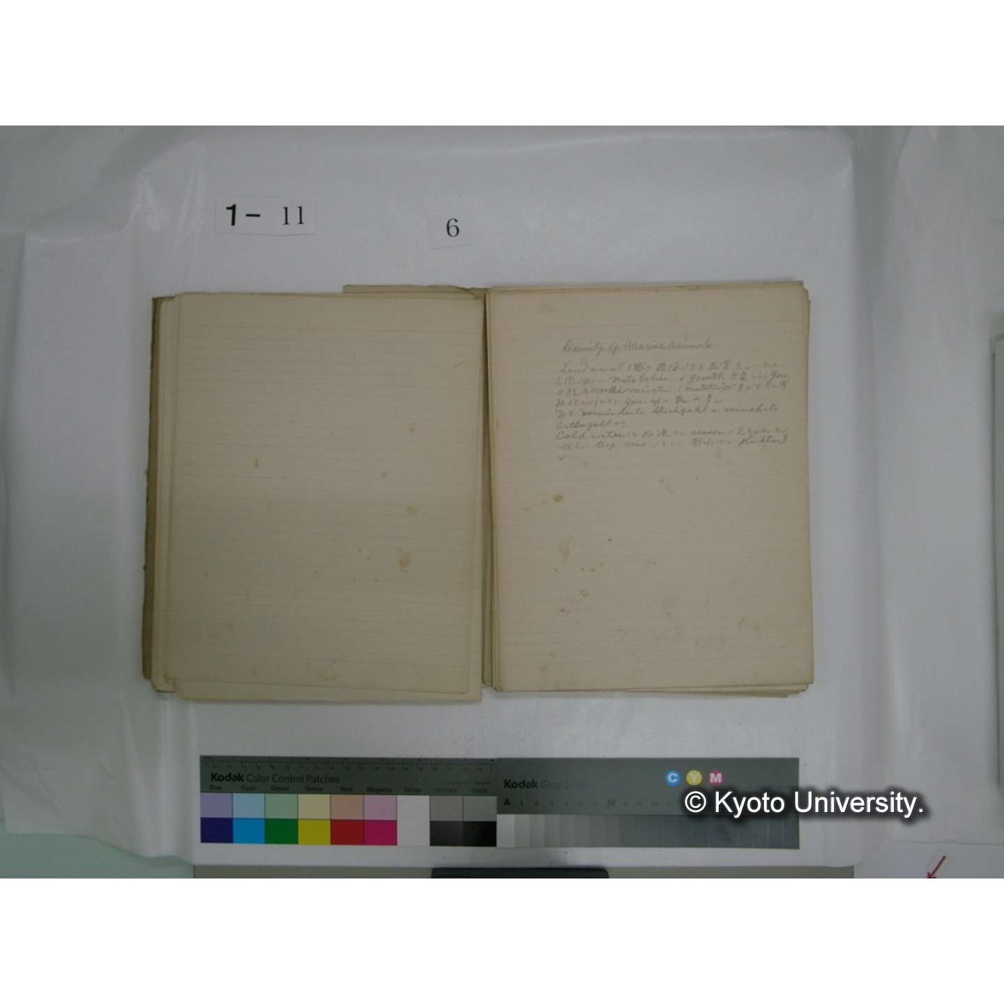 生態学原稿自著 [直筆原稿]/ (川村多實二) (70)