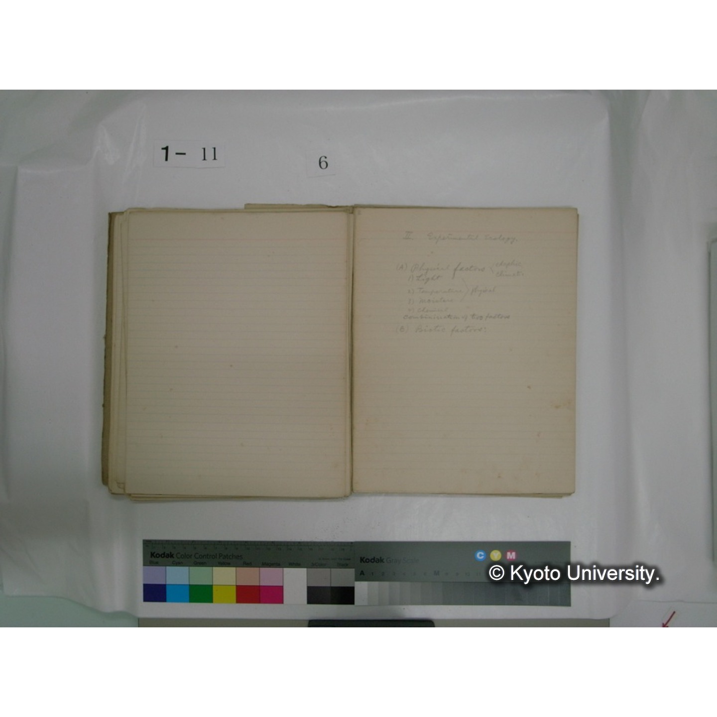 生態学原稿自著 [直筆原稿]/ (川村多實二) (72)