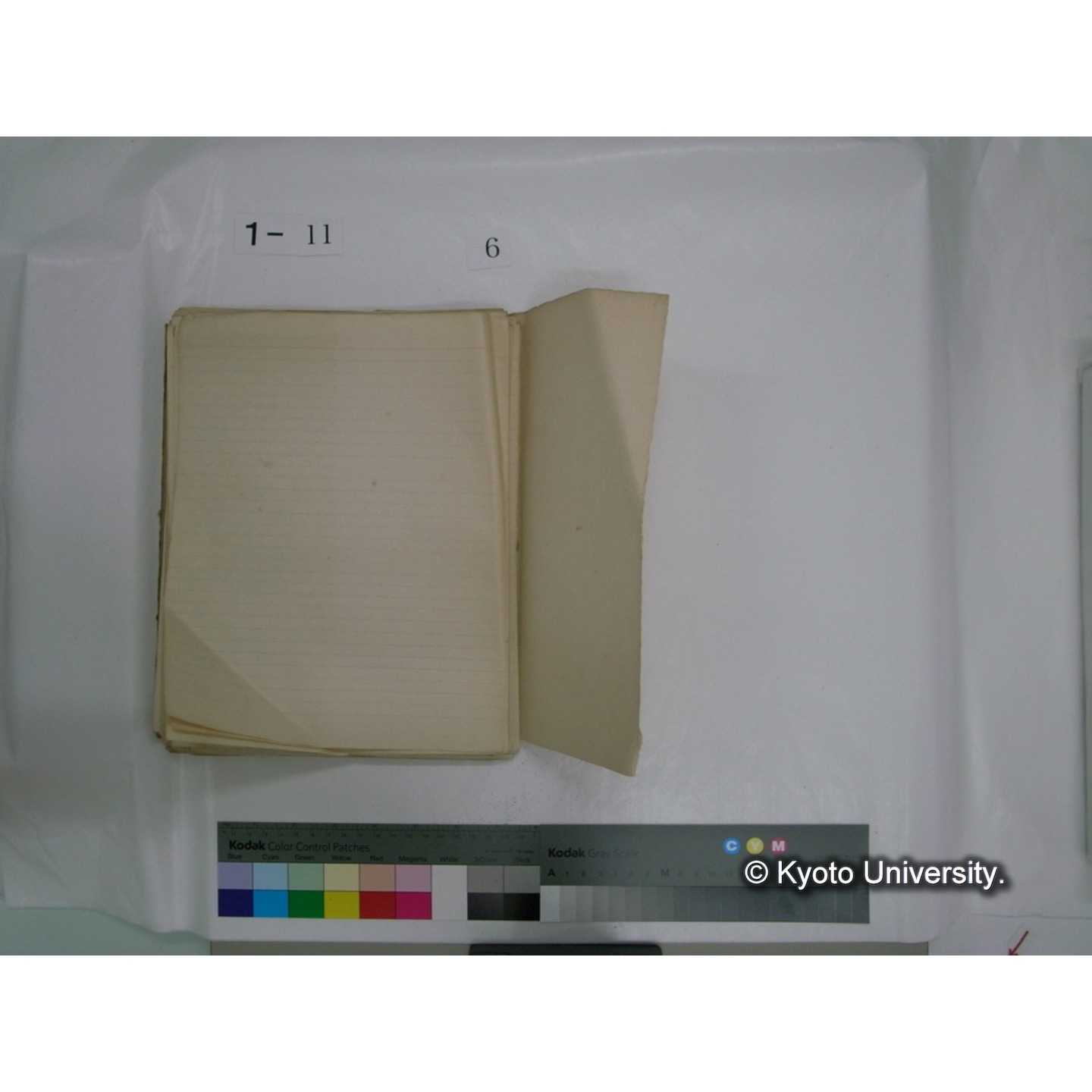 生態学原稿自著 [直筆原稿]/ (川村多實二) (74)