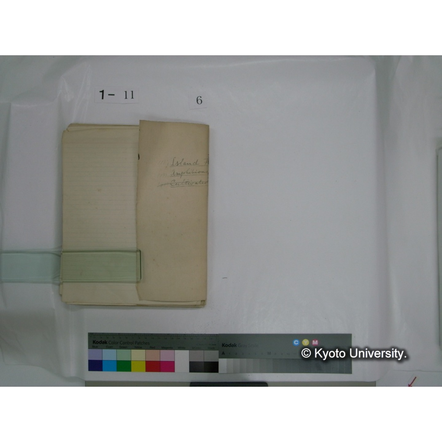 生態学原稿自著 [直筆原稿]/ (川村多實二) (75)