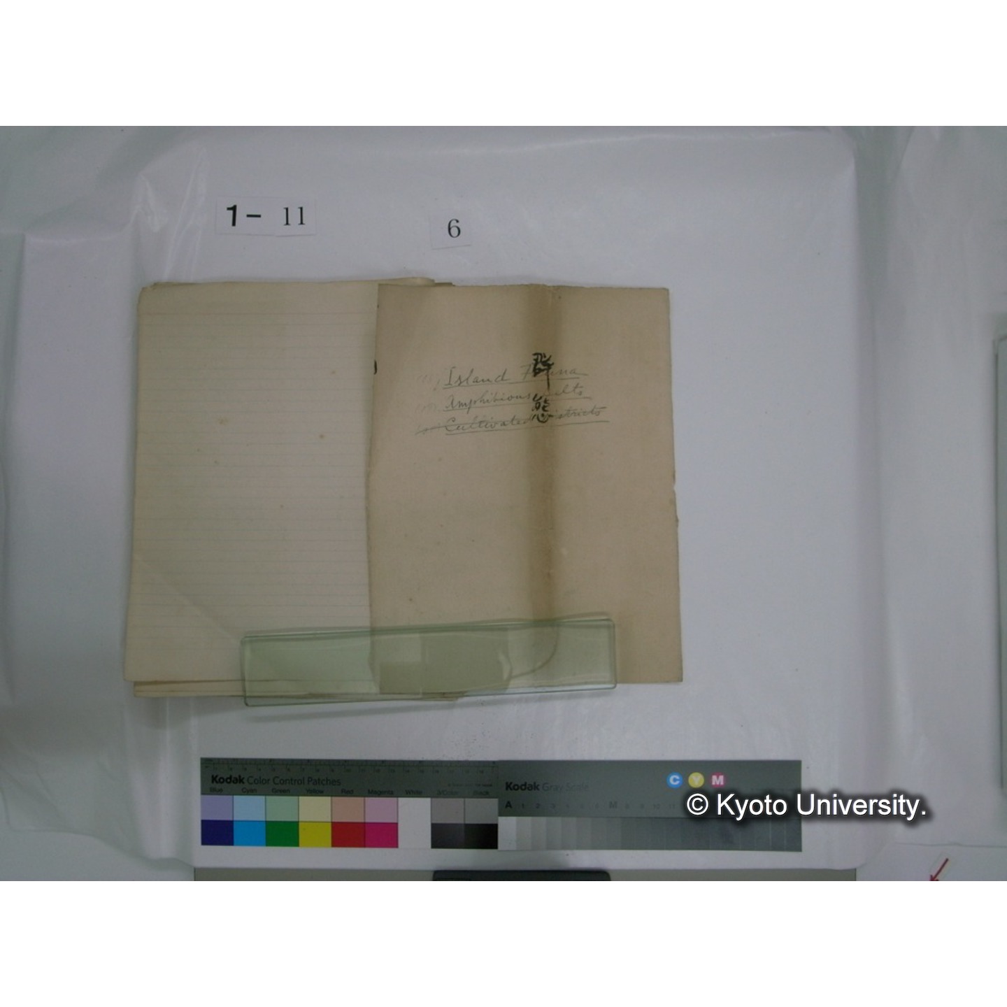 生態学原稿自著 [直筆原稿]/ (川村多實二) (76)