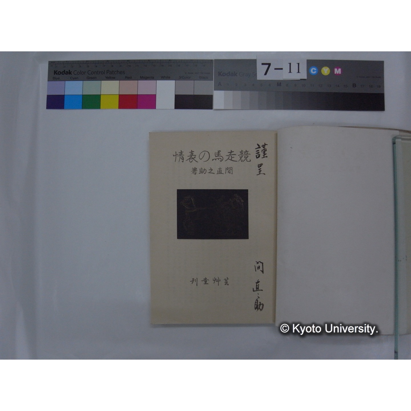 競走馬の表情 / 間直之助著 (2)