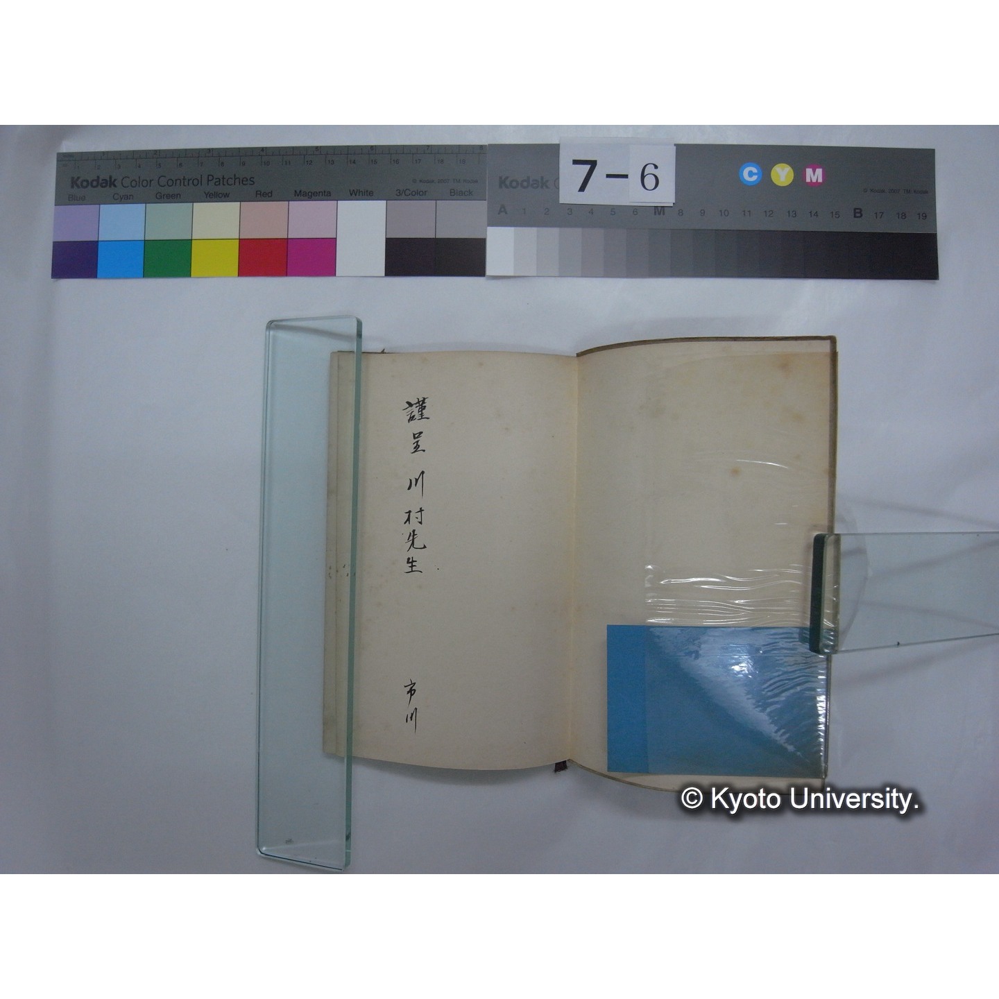 実験発生学 上 / 市川衛著 (2)