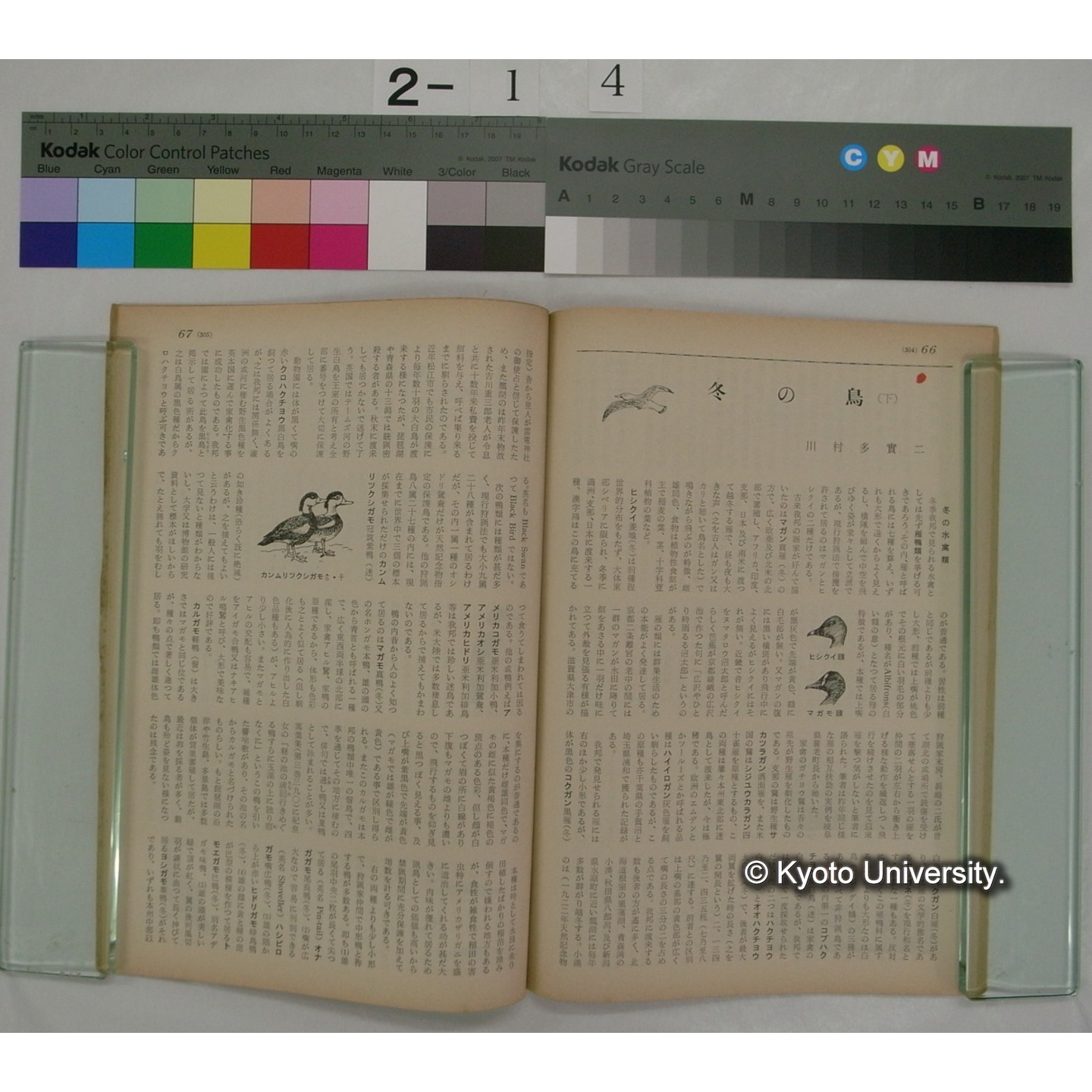 経済人 : HOMOECONOMICUS (14巻3号,昭和35.3) / 関西経済連合 (3)