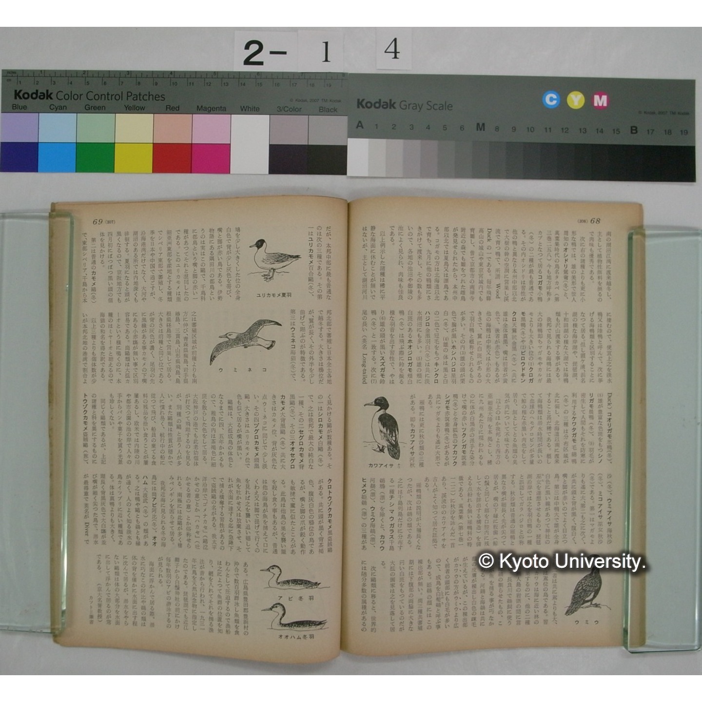 経済人 : HOMOECONOMICUS (14巻3号,昭和35.3) / 関西経済連合 (4)