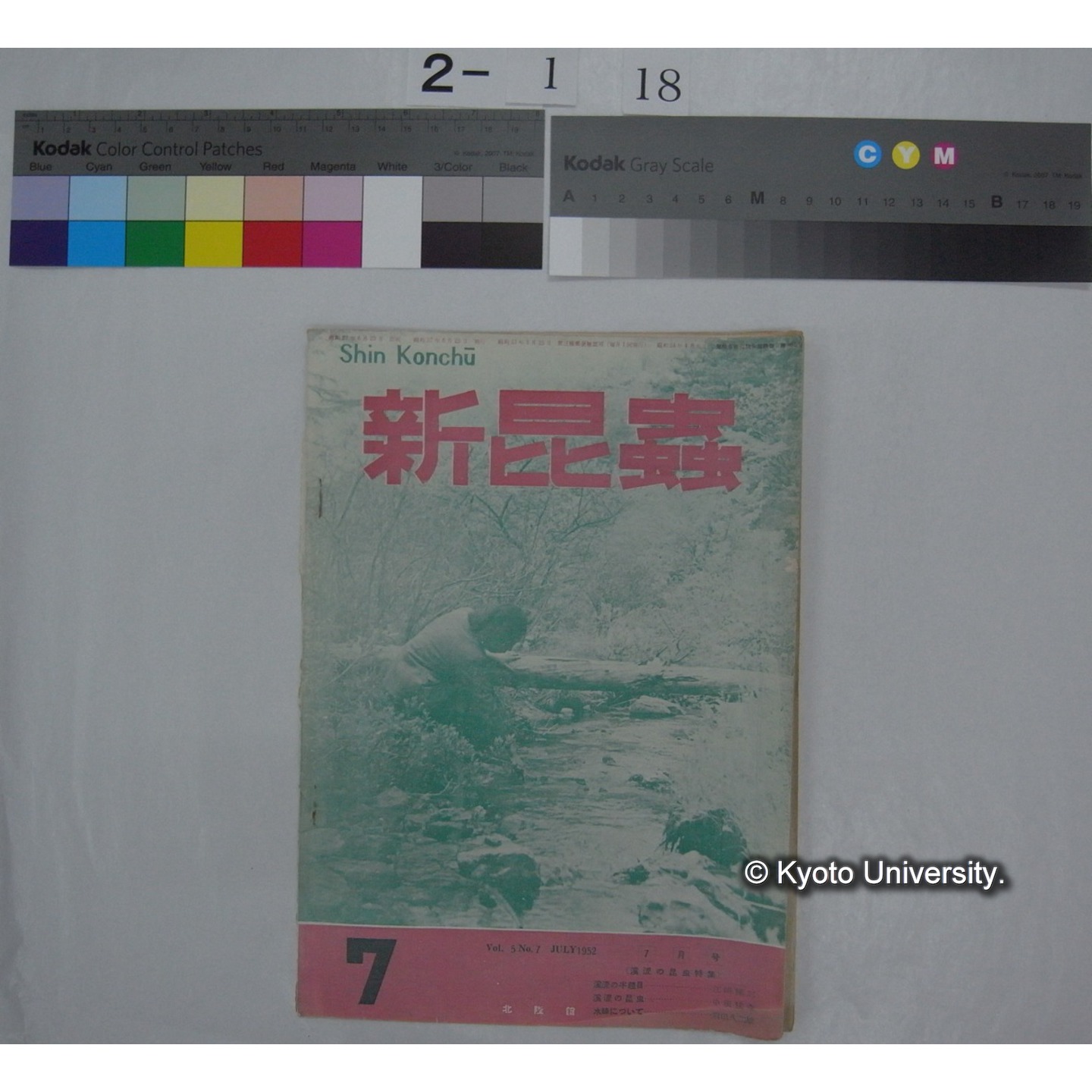 新昆虫 5巻7号(昭和27.7) / 北隆館 (部分) (1)