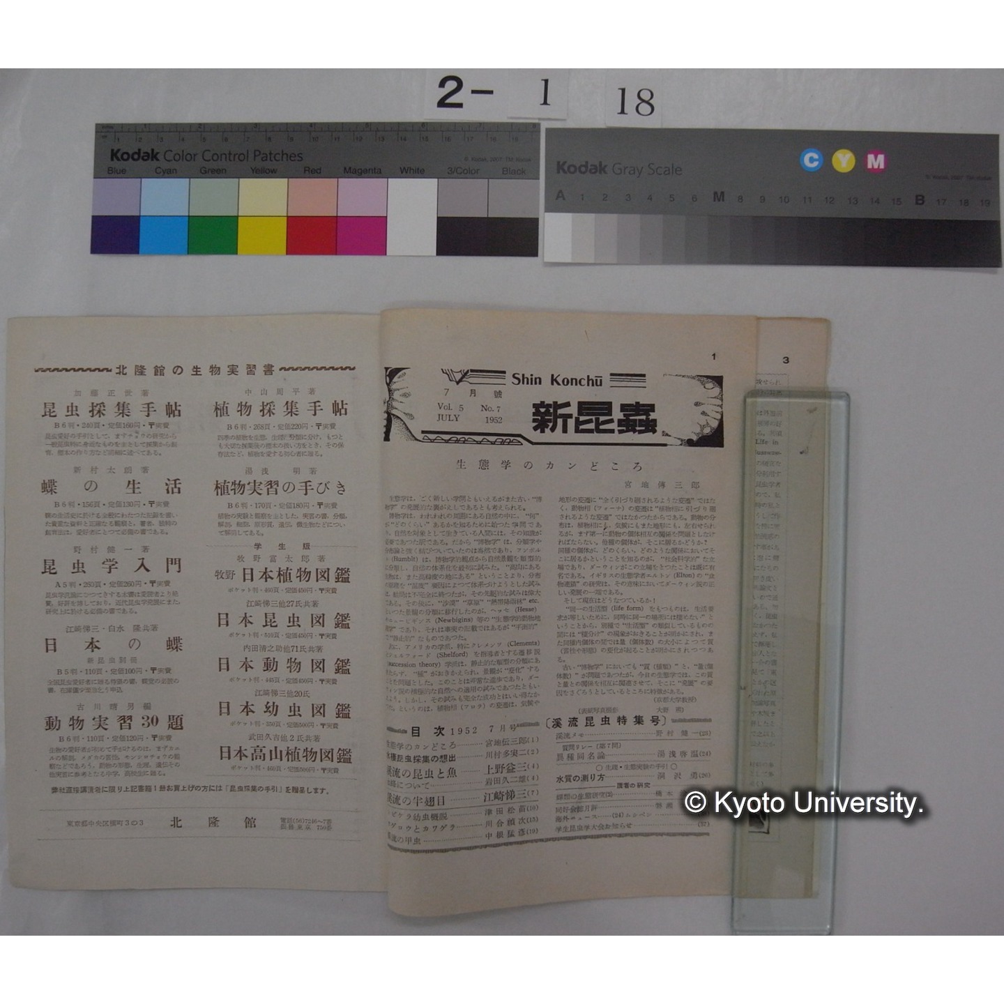 新昆虫 5巻7号(昭和27.7) / 北隆館 (部分) (2)