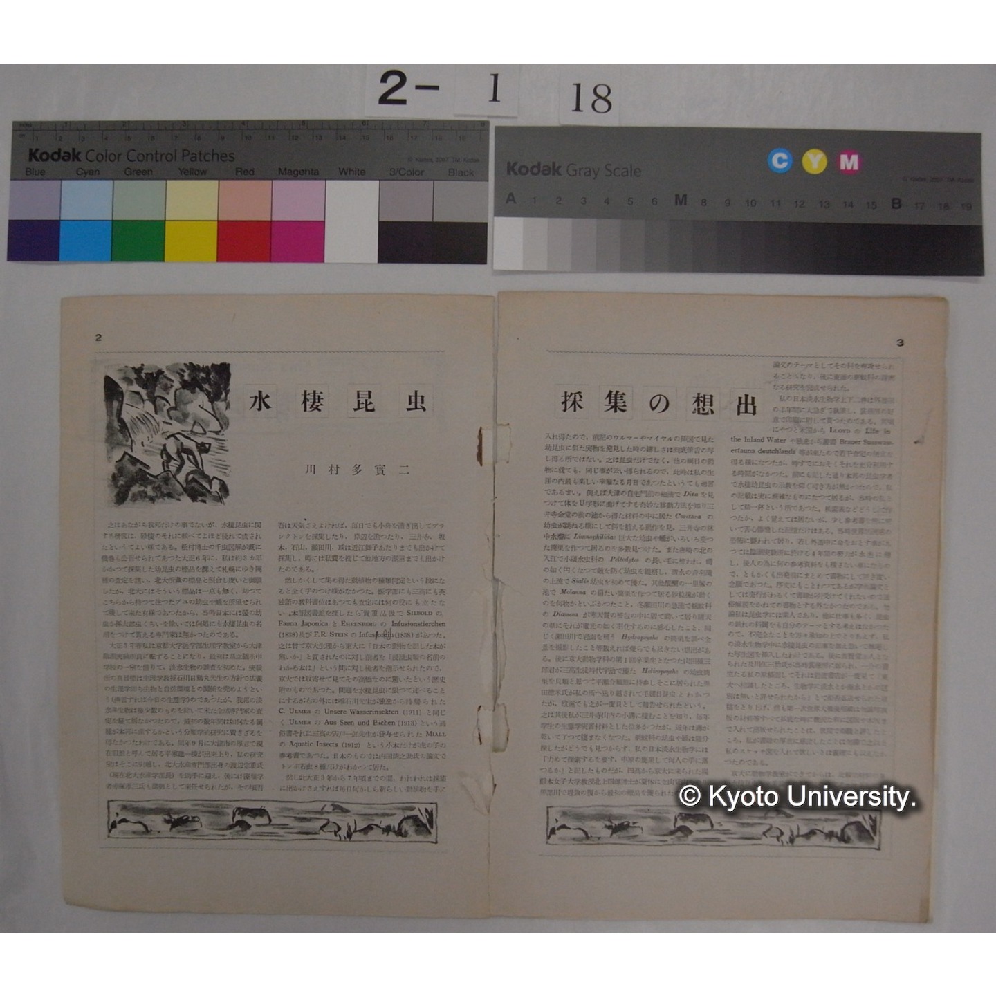 新昆虫 5巻7号(昭和27.7) / 北隆館 (部分) (3)