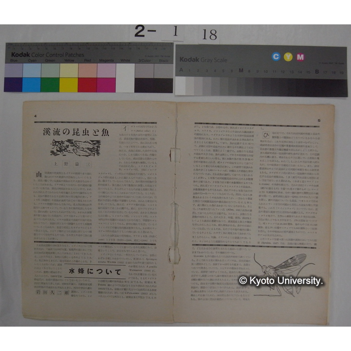 新昆虫 5巻7号(昭和27.7) / 北隆館 (部分) (4)