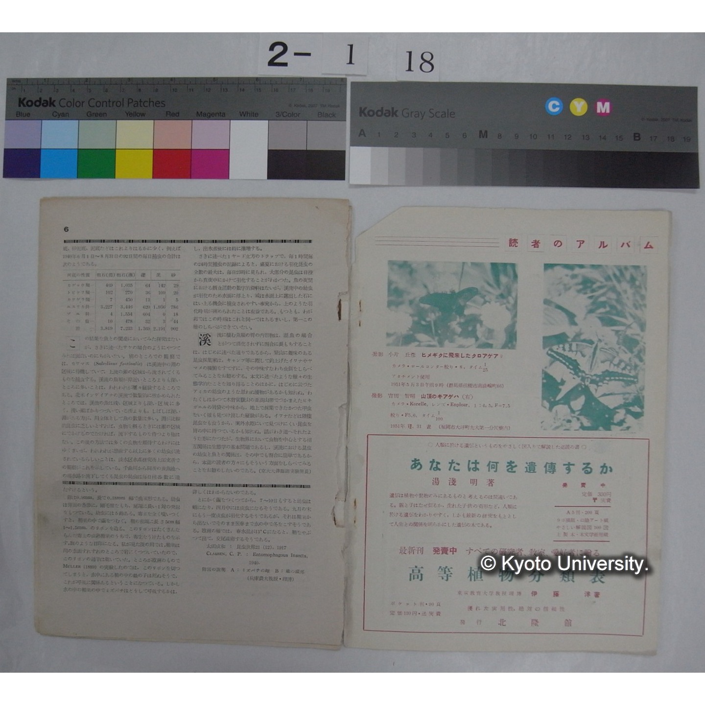 新昆虫 5巻7号(昭和27.7) / 北隆館 (部分) (5)