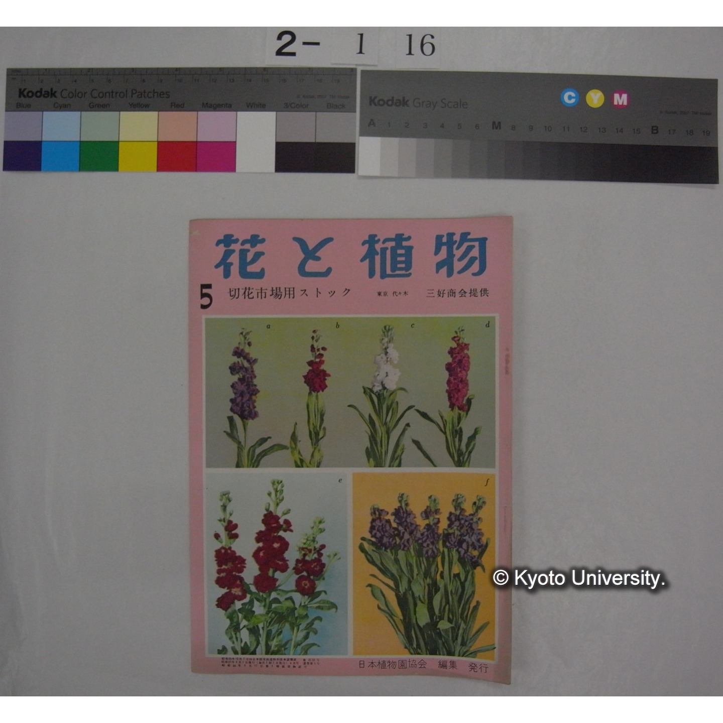 花と植物 5号 /　日本植物協会編集発行 (部分) (1)