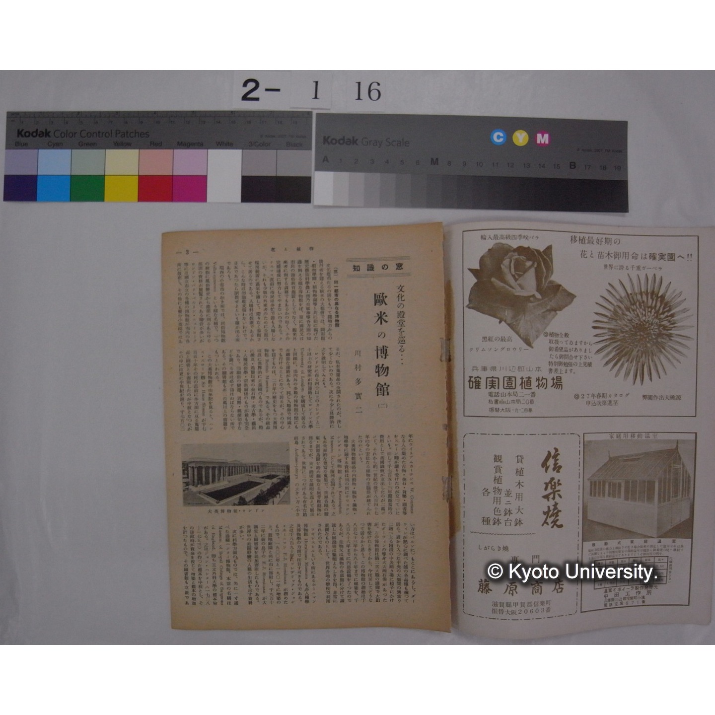 花と植物 5号 /　日本植物協会編集発行 (部分) (2)