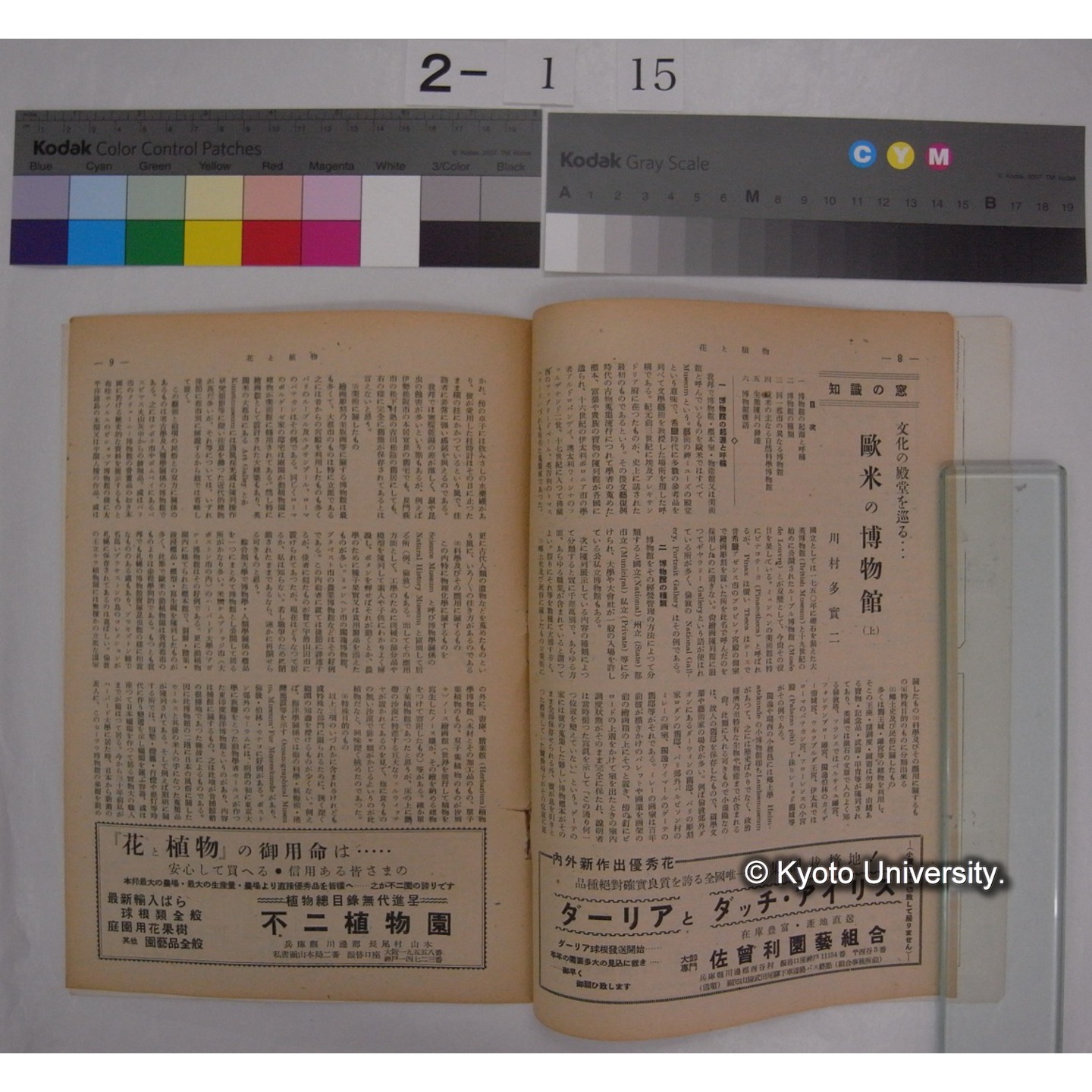 花と植物 4号 /　日本植物協会編集発行 (部分) (2)