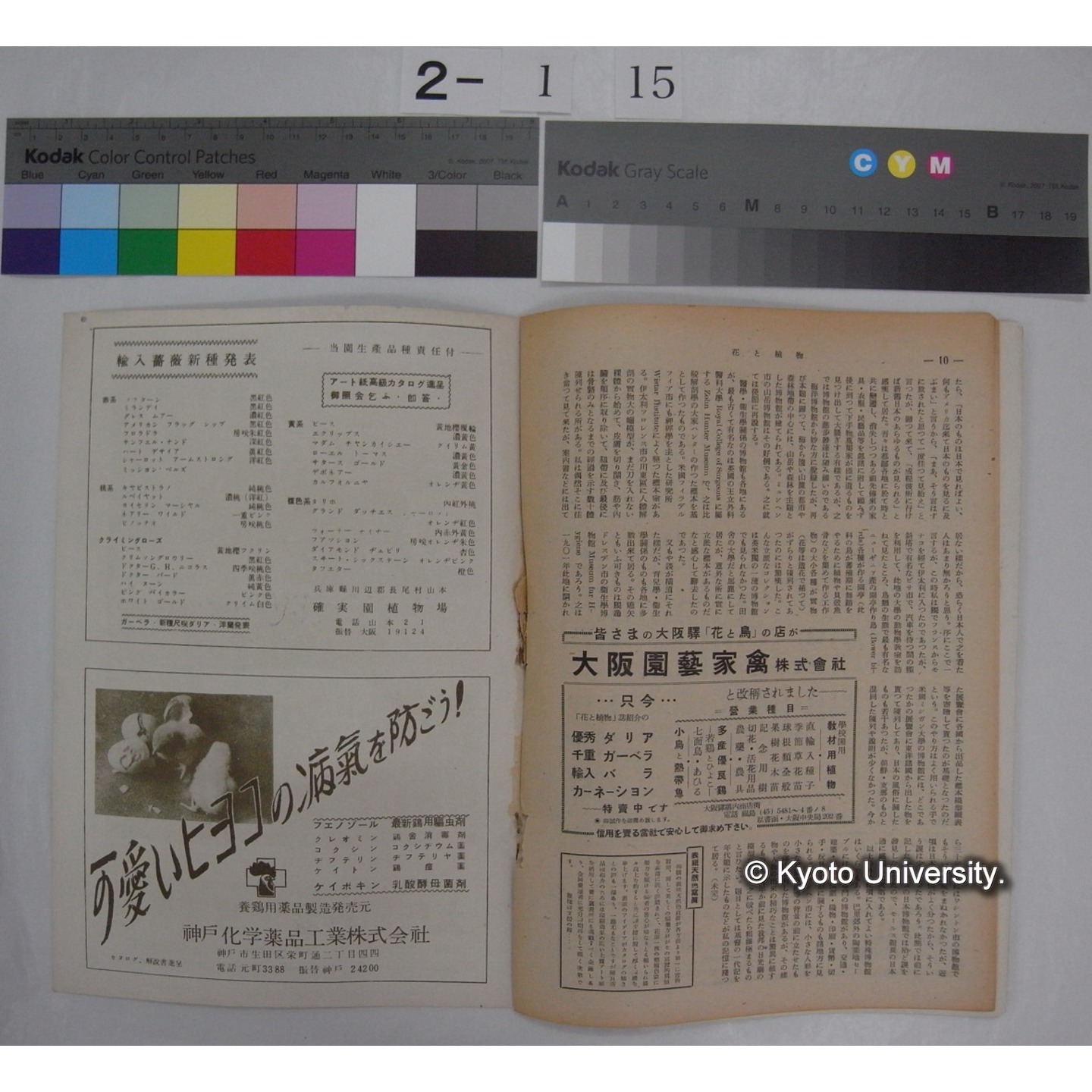 花と植物 4号 /　日本植物協会編集発行 (部分) (3)