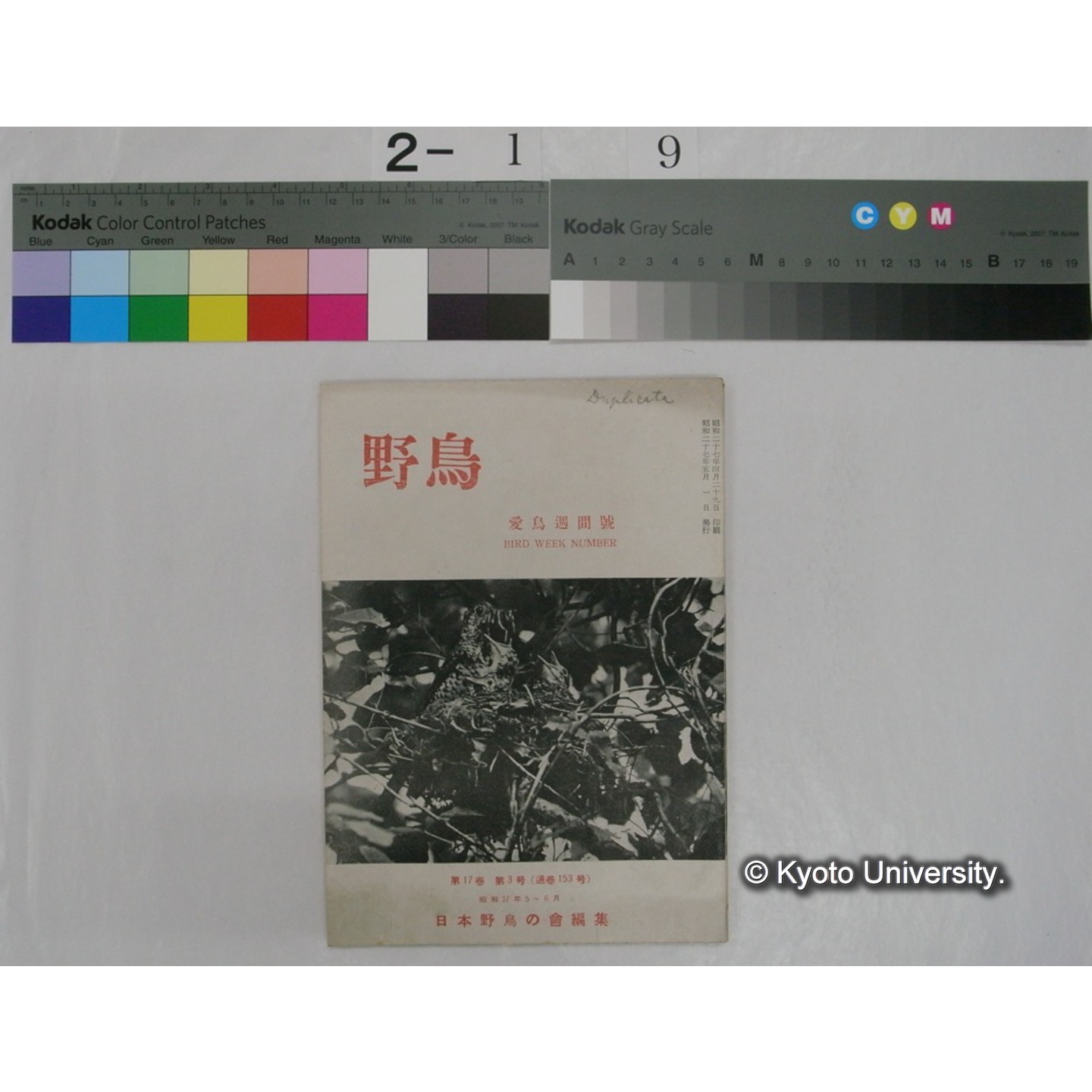 野鳥 17巻3号(昭和27.5-6) / 日本野鳥の会編集 (1)