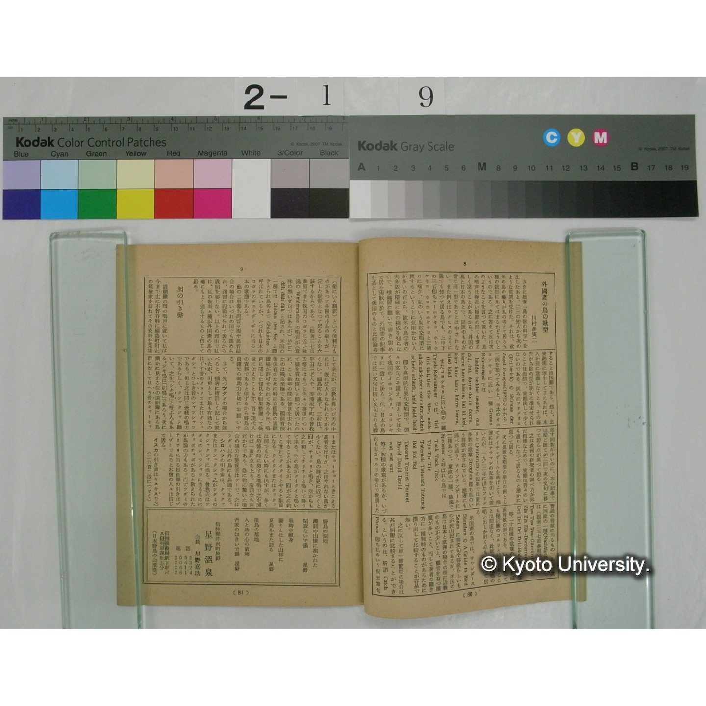 野鳥 17巻3号(昭和27.5-6) / 日本野鳥の会編集 (3)