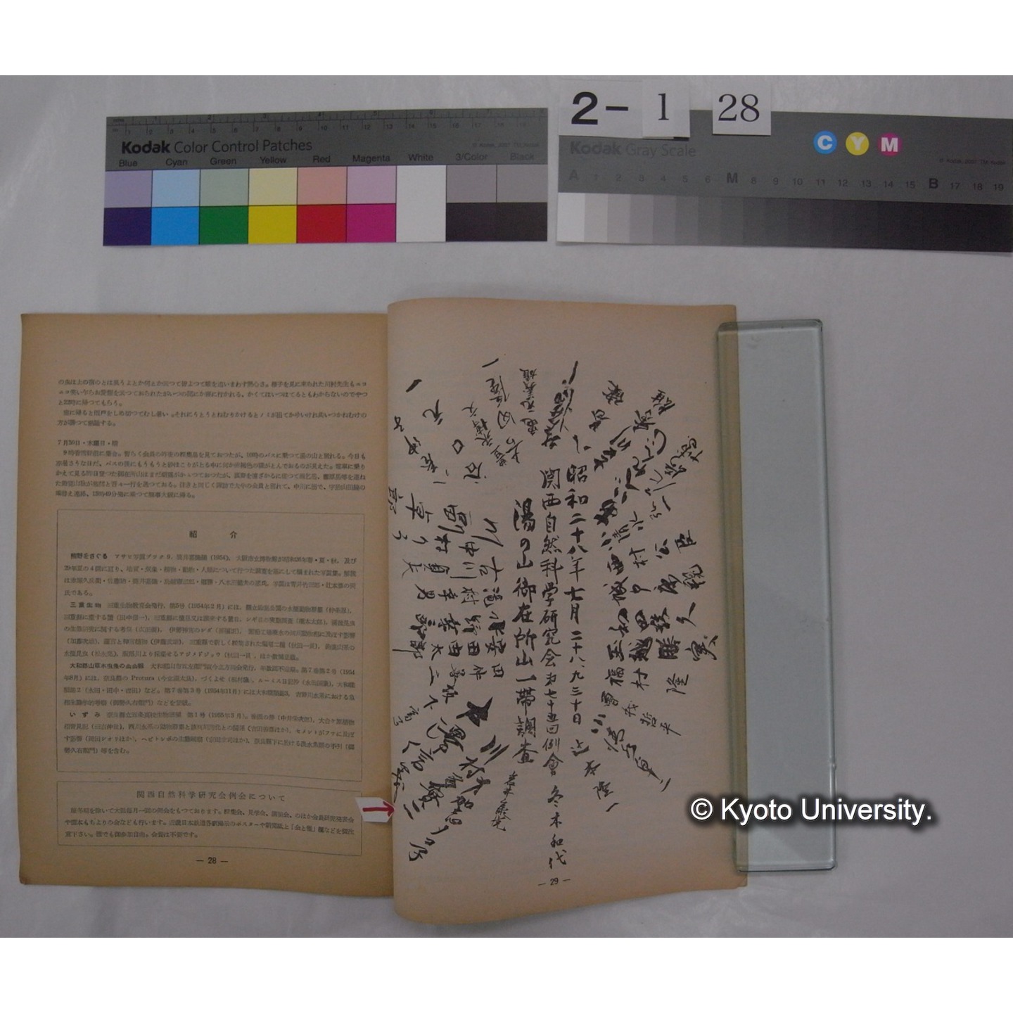 関西自然科学研究会会誌 8号(昭和29.12) (2)