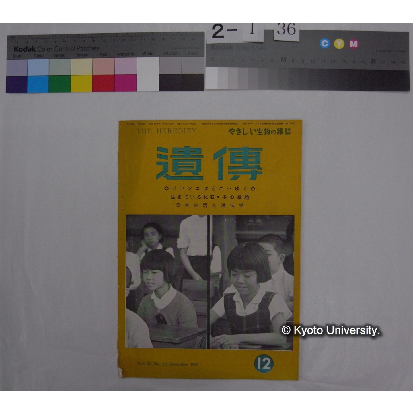 遺伝 : THE HEREDITY (10巻12号,昭和31.12) / 遺伝学普及会 (1)