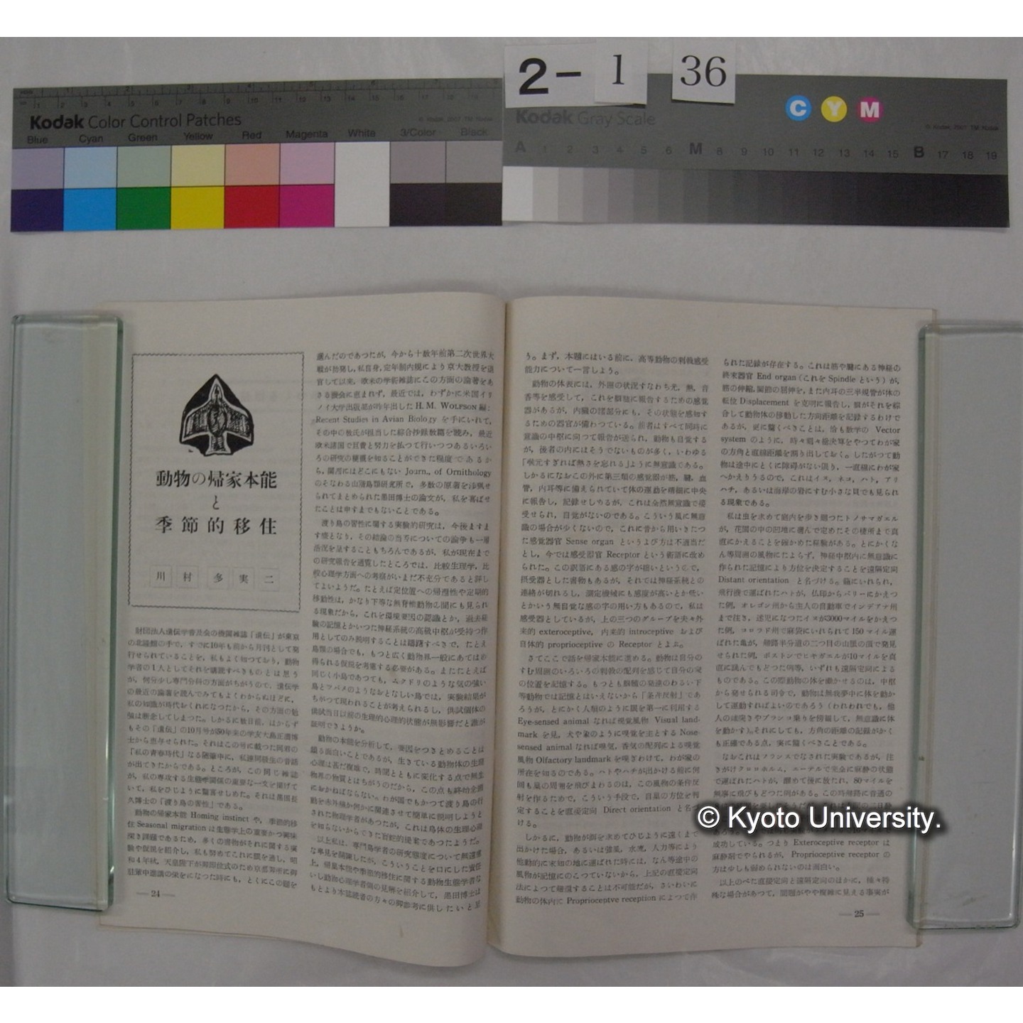 遺伝 : THE HEREDITY (10巻12号,昭和31.12) / 遺伝学普及会 (3)