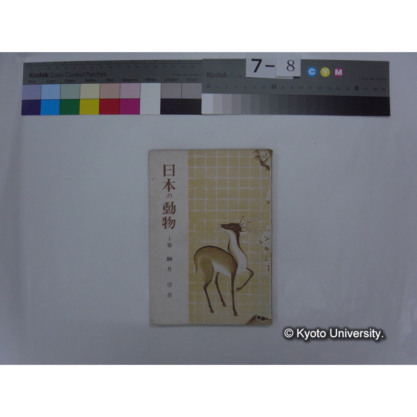 日本の動物 上巻 / 駒井卓著 (1)