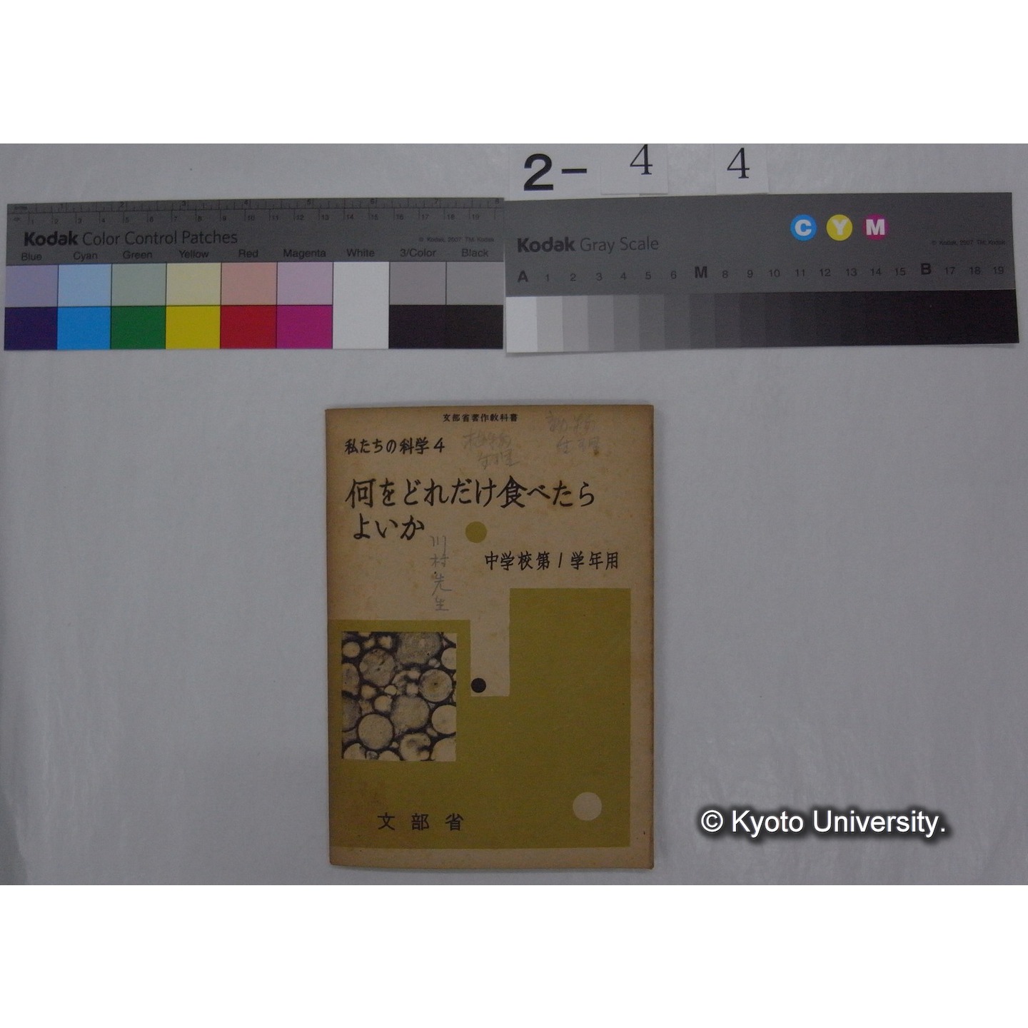 何をどれだけ食べたらよいか : 中学校第1学年用 / 文部省 (私たちの科学; 4 ) (1)
