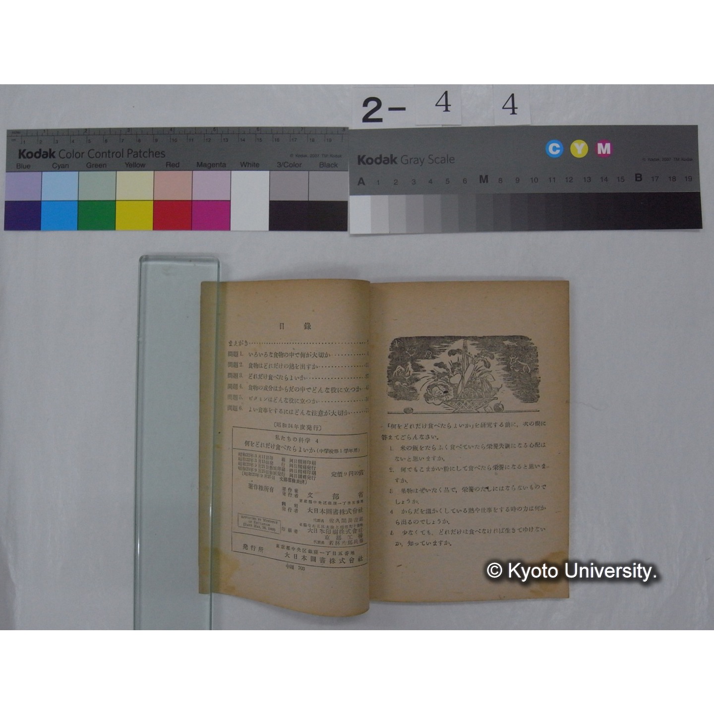 何をどれだけ食べたらよいか : 中学校第1学年用 / 文部省 (私たちの科学; 4 ) (2)