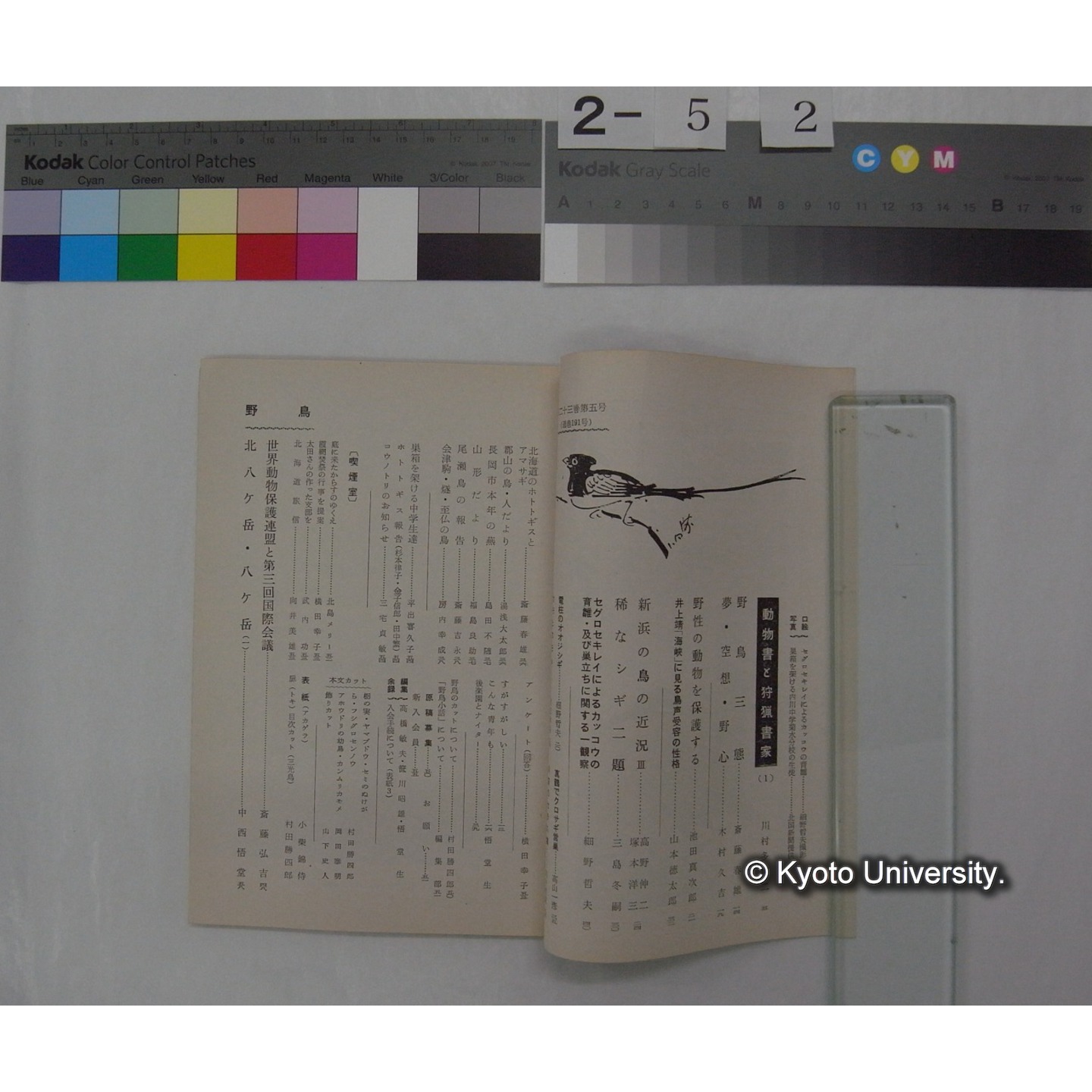 野鳥 (23巻5号,昭和33.9-10) / 日本野鳥の会 (2)