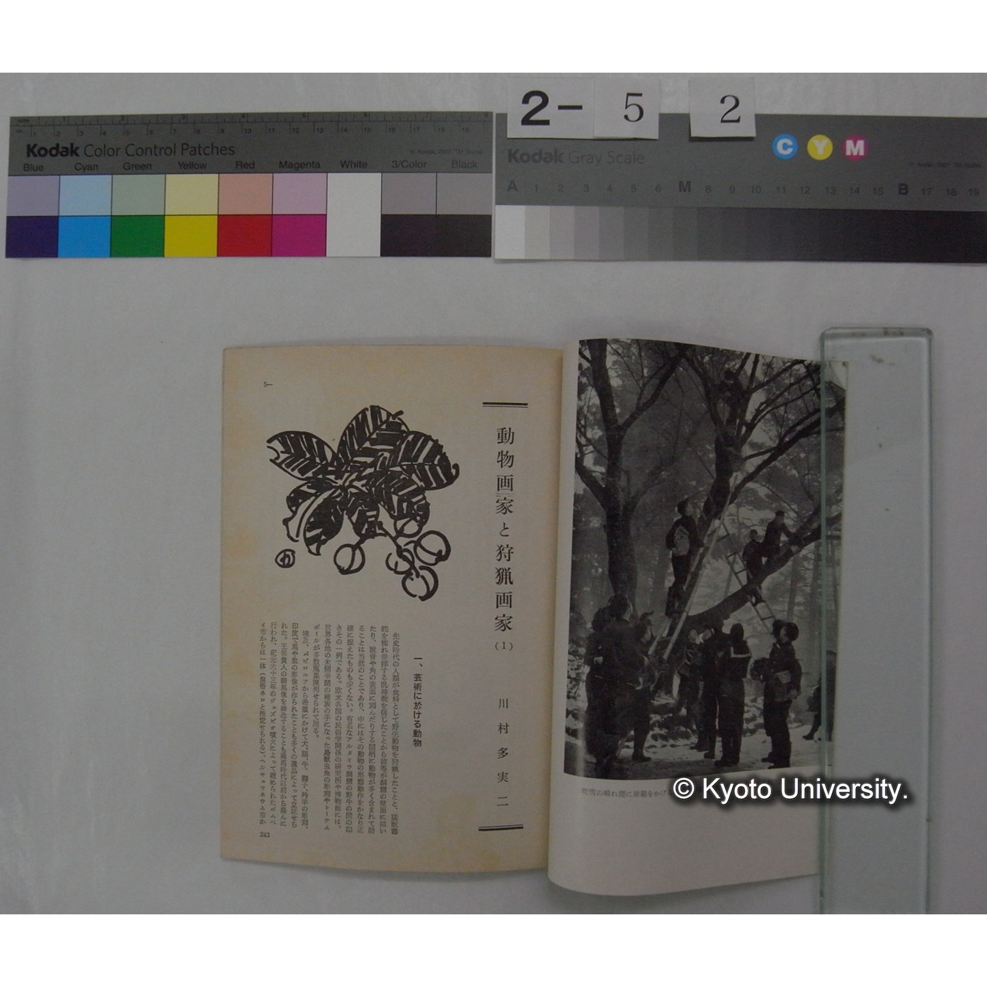 野鳥 (23巻5号,昭和33.9-10) / 日本野鳥の会 (3)