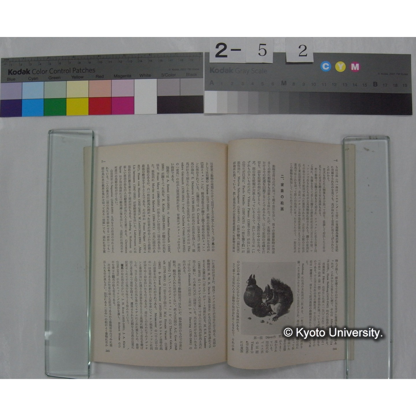 野鳥 (23巻5号,昭和33.9-10) / 日本野鳥の会 (4)