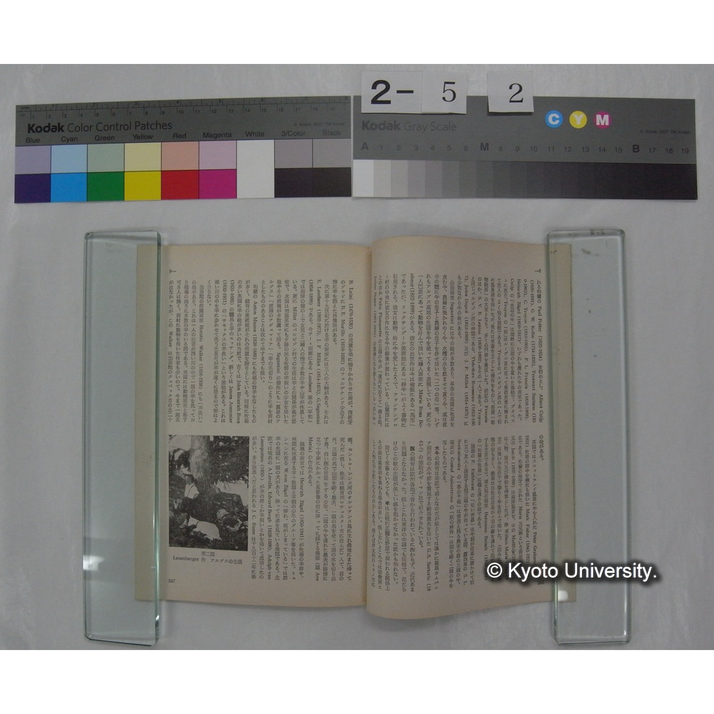 野鳥 (23巻5号,昭和33.9-10) / 日本野鳥の会 (5)