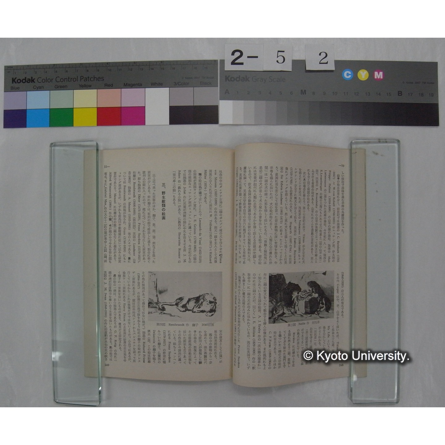 野鳥 (23巻5号,昭和33.9-10) / 日本野鳥の会 (6)