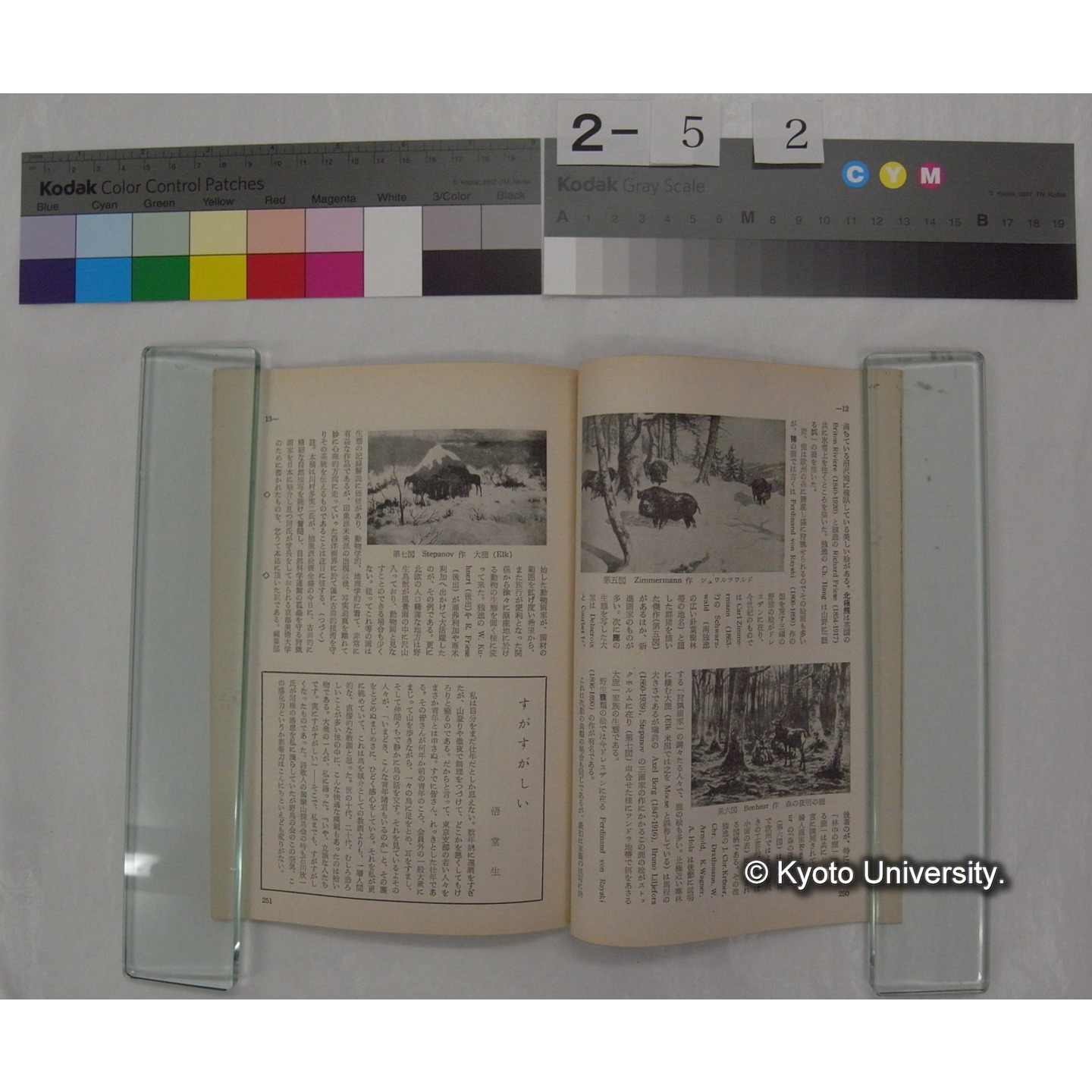 野鳥 (23巻5号,昭和33.9-10) / 日本野鳥の会 (7)