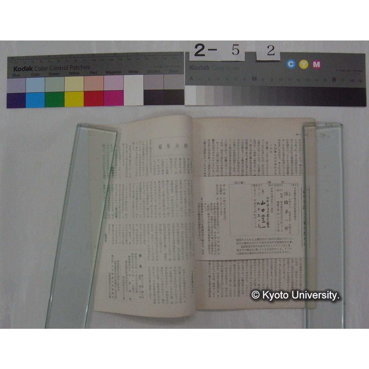 野鳥 (23巻5号,昭和33.9-10) / 日本野鳥の会 (8)