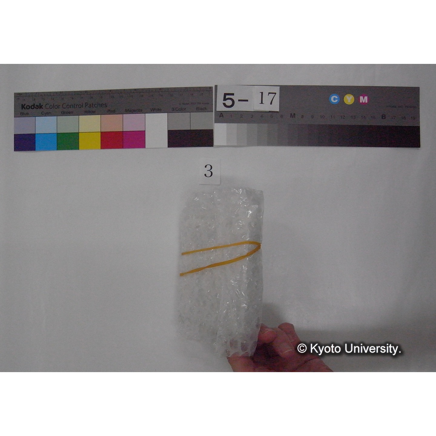 スライド(ガラス種板) (2)