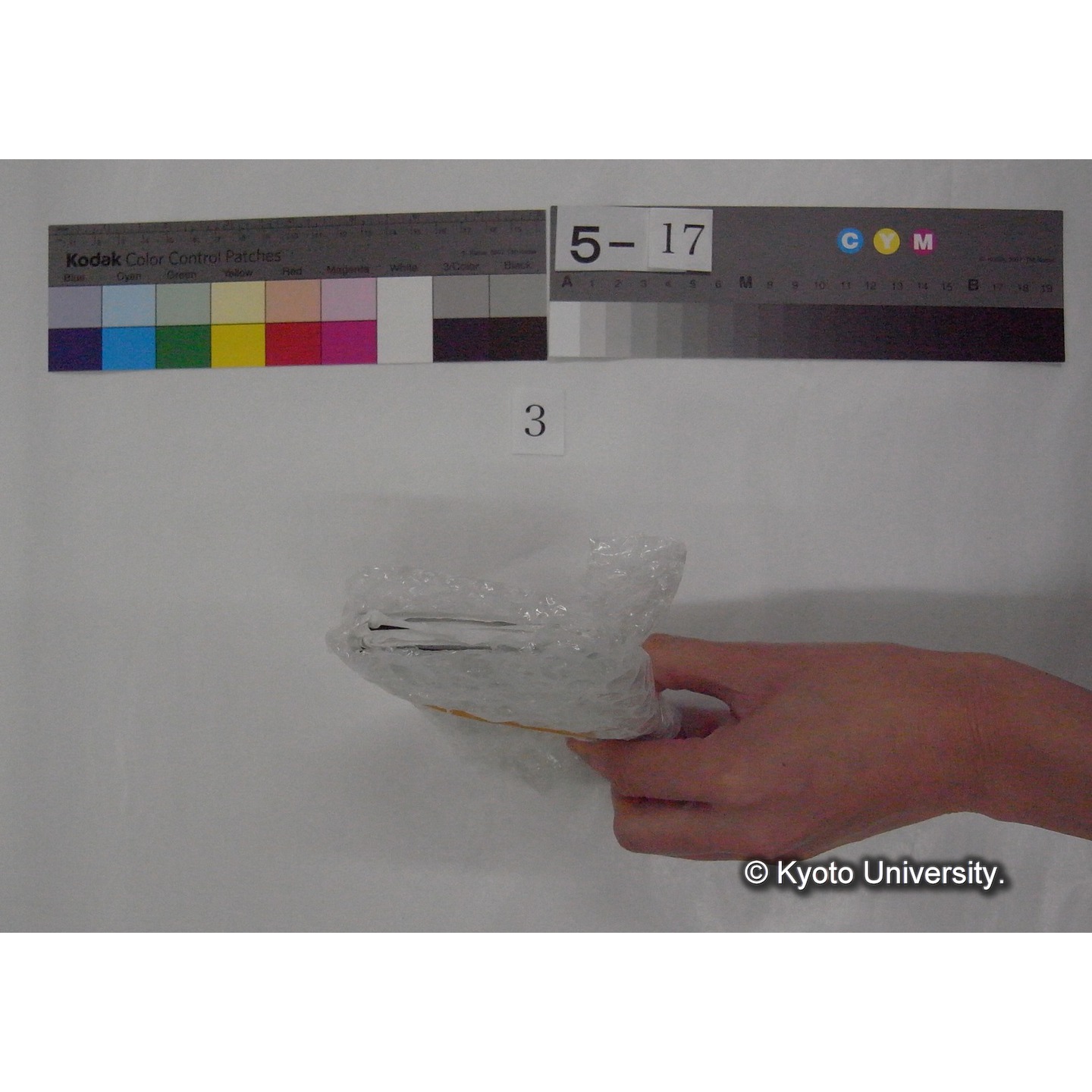 スライド(ガラス種板) (4)