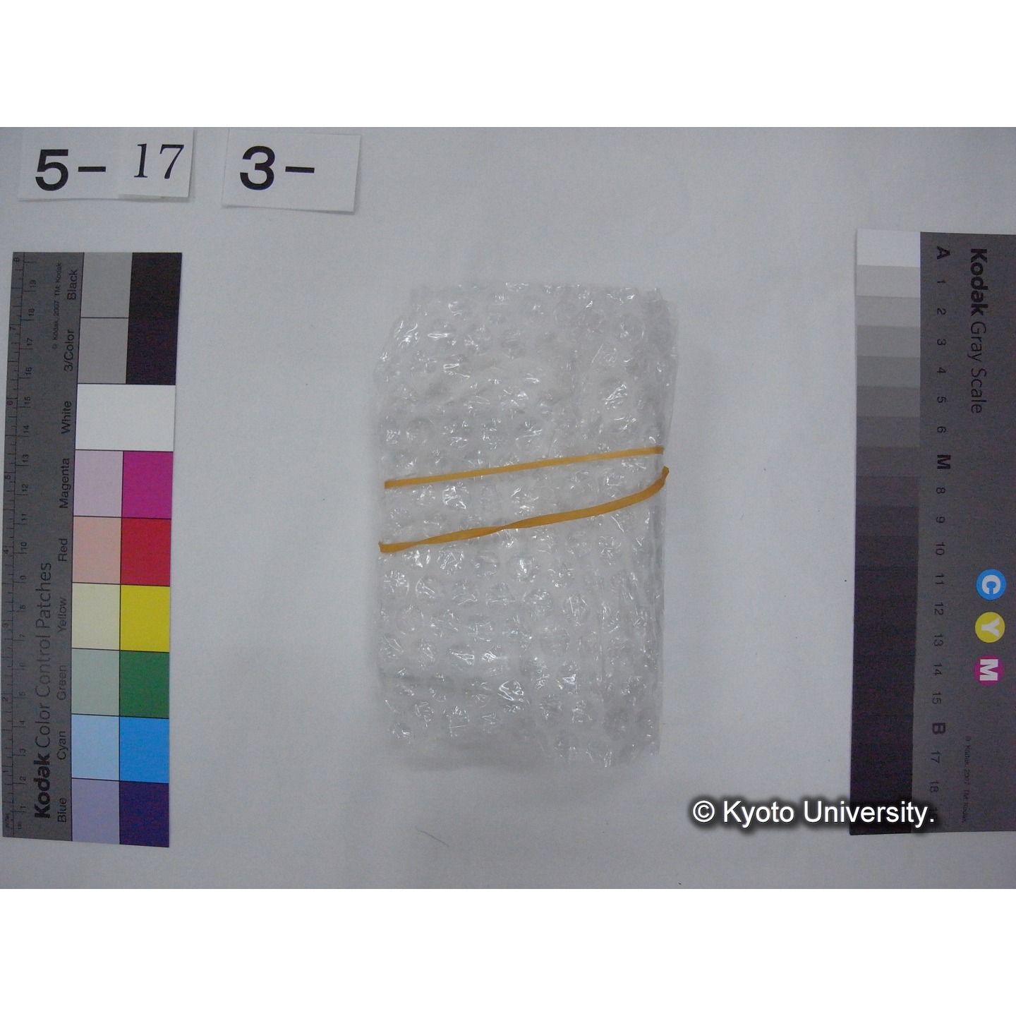 スライド(ガラス種板) (5)