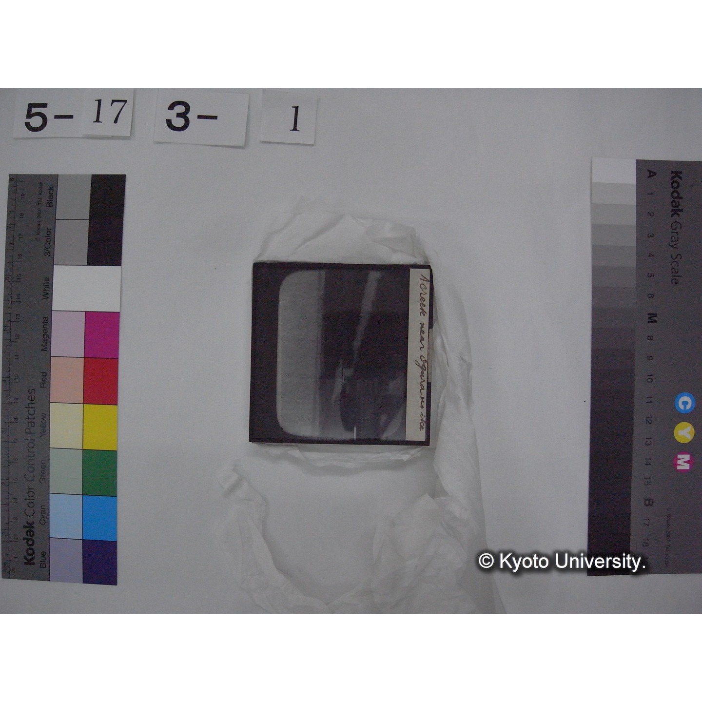 スライド(ガラス種板) (7)