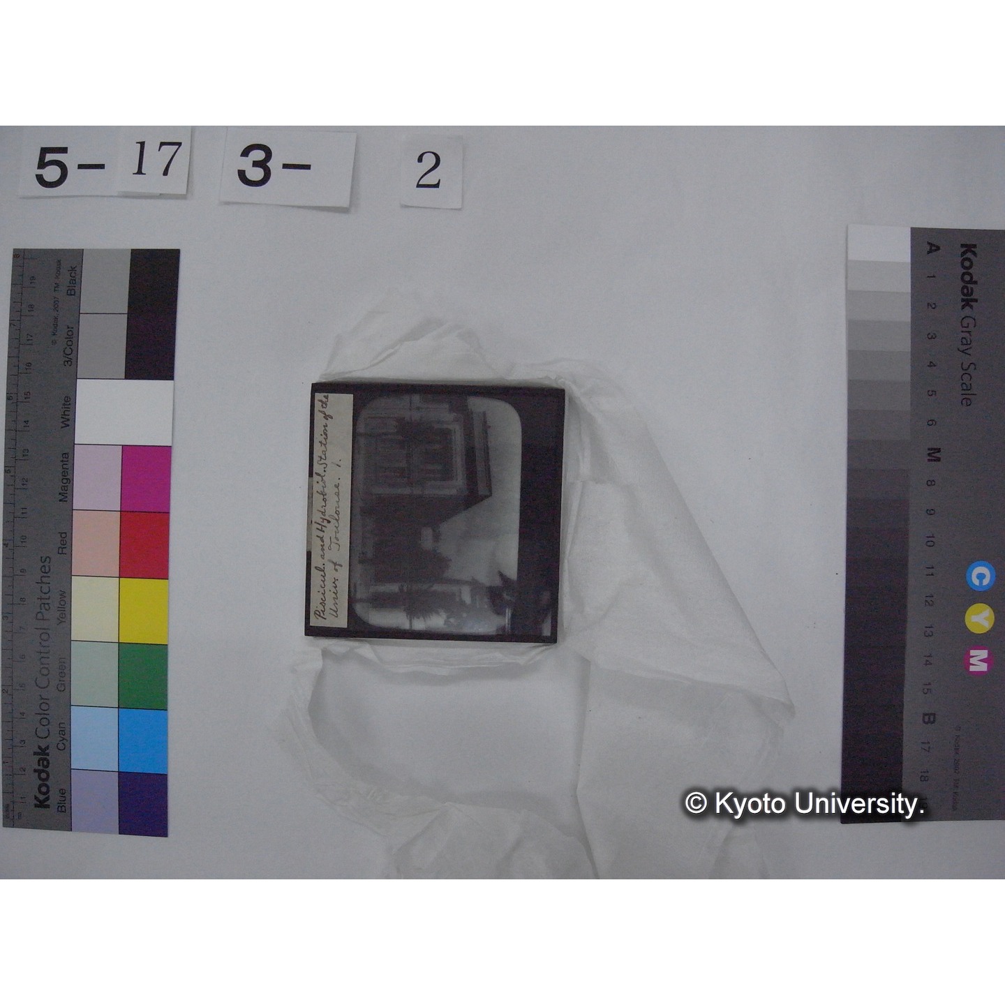 スライド(ガラス種板) (8)