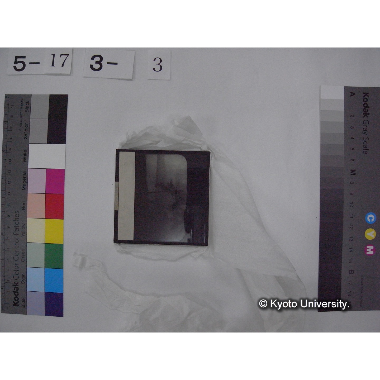 スライド(ガラス種板) (9)