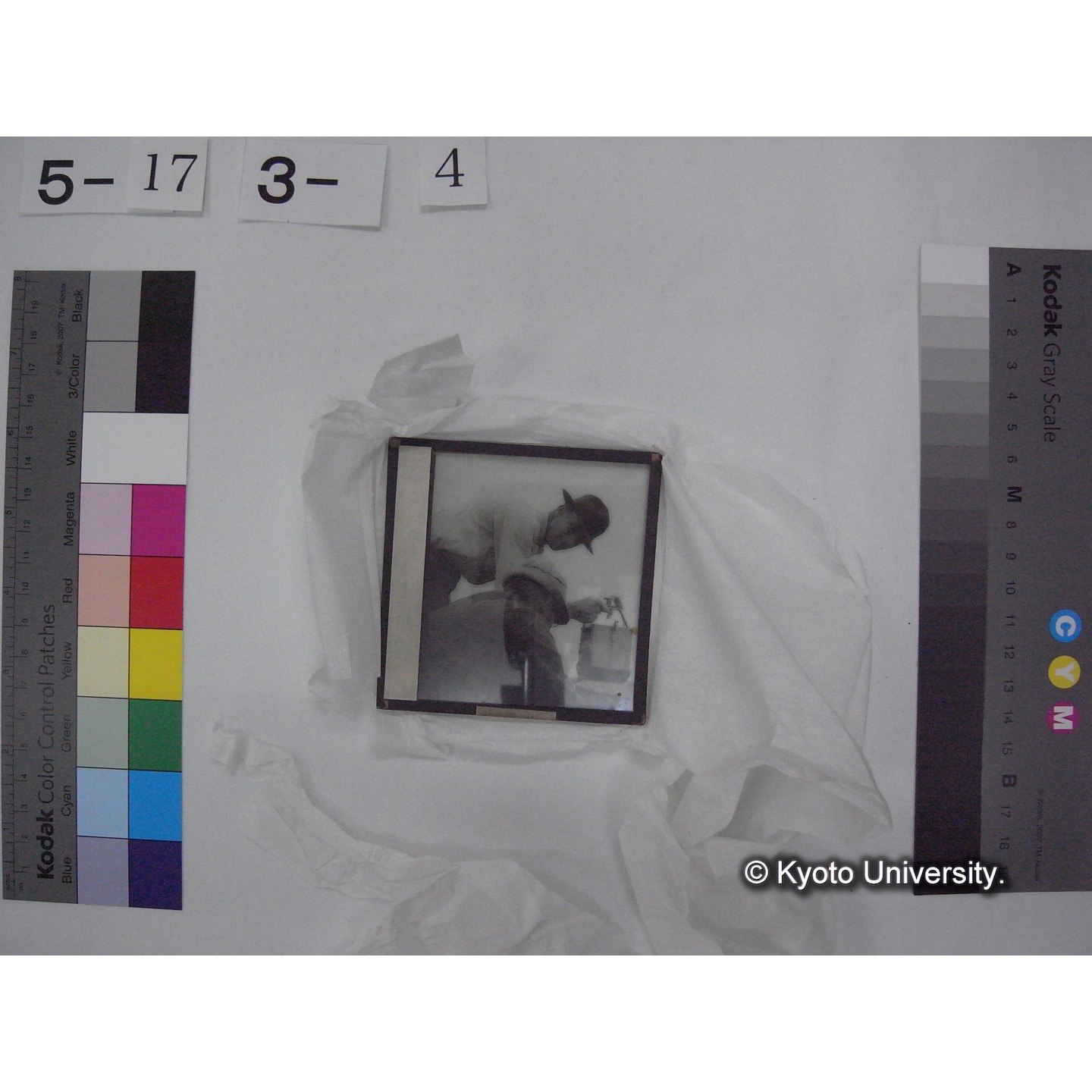 スライド(ガラス種板) (10)