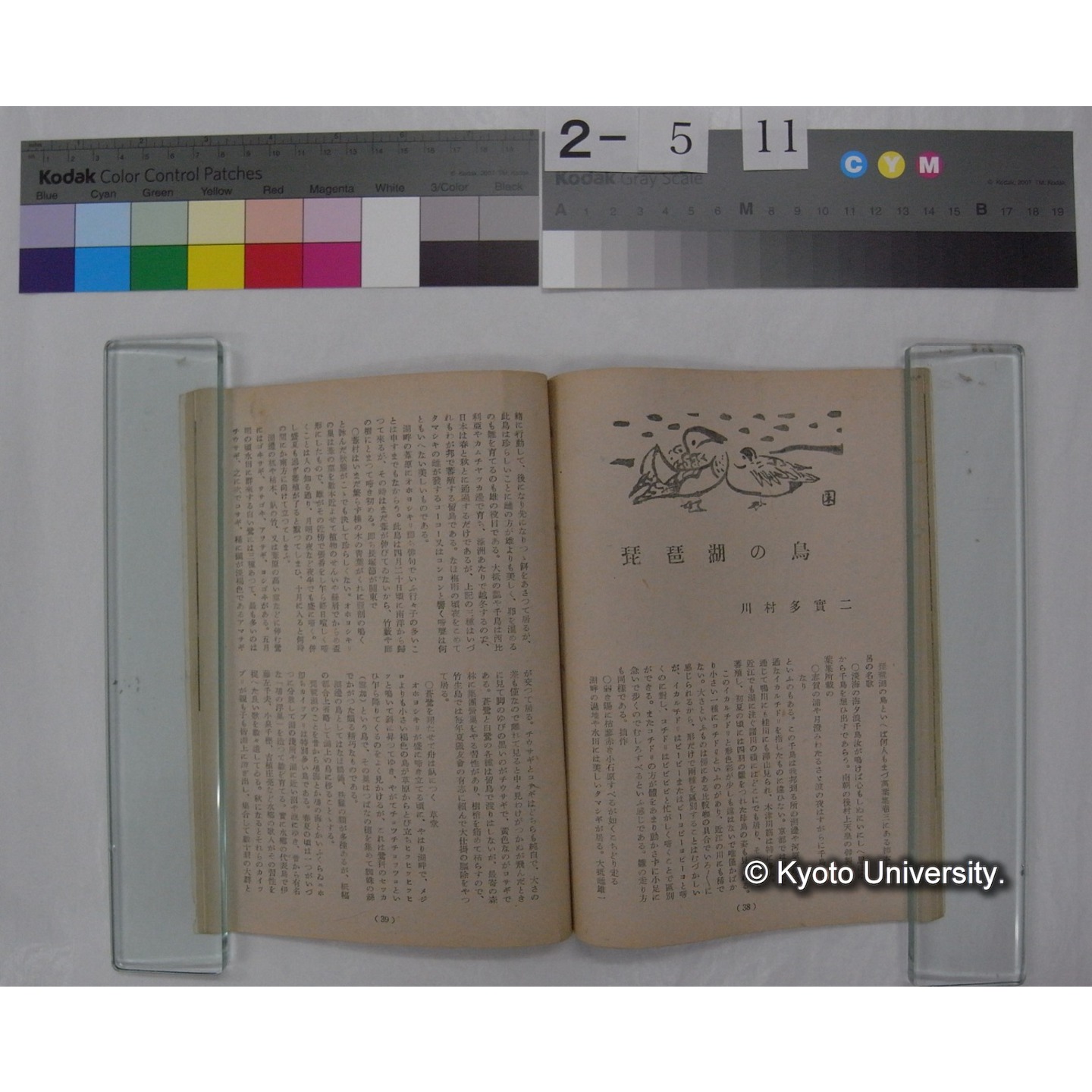 京都 : 観光と美術 (9号,昭和25.10) (3)