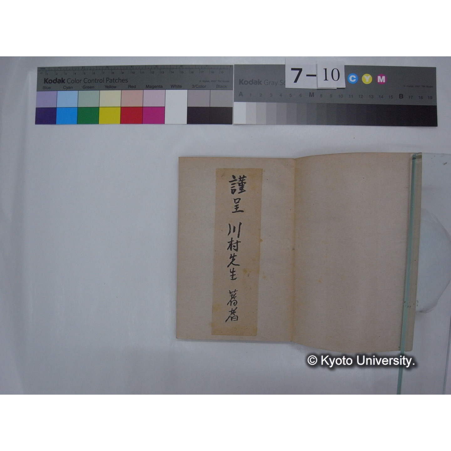 動物の趨性 / 本城市次郎著 (理学モノグラム;4) (2)