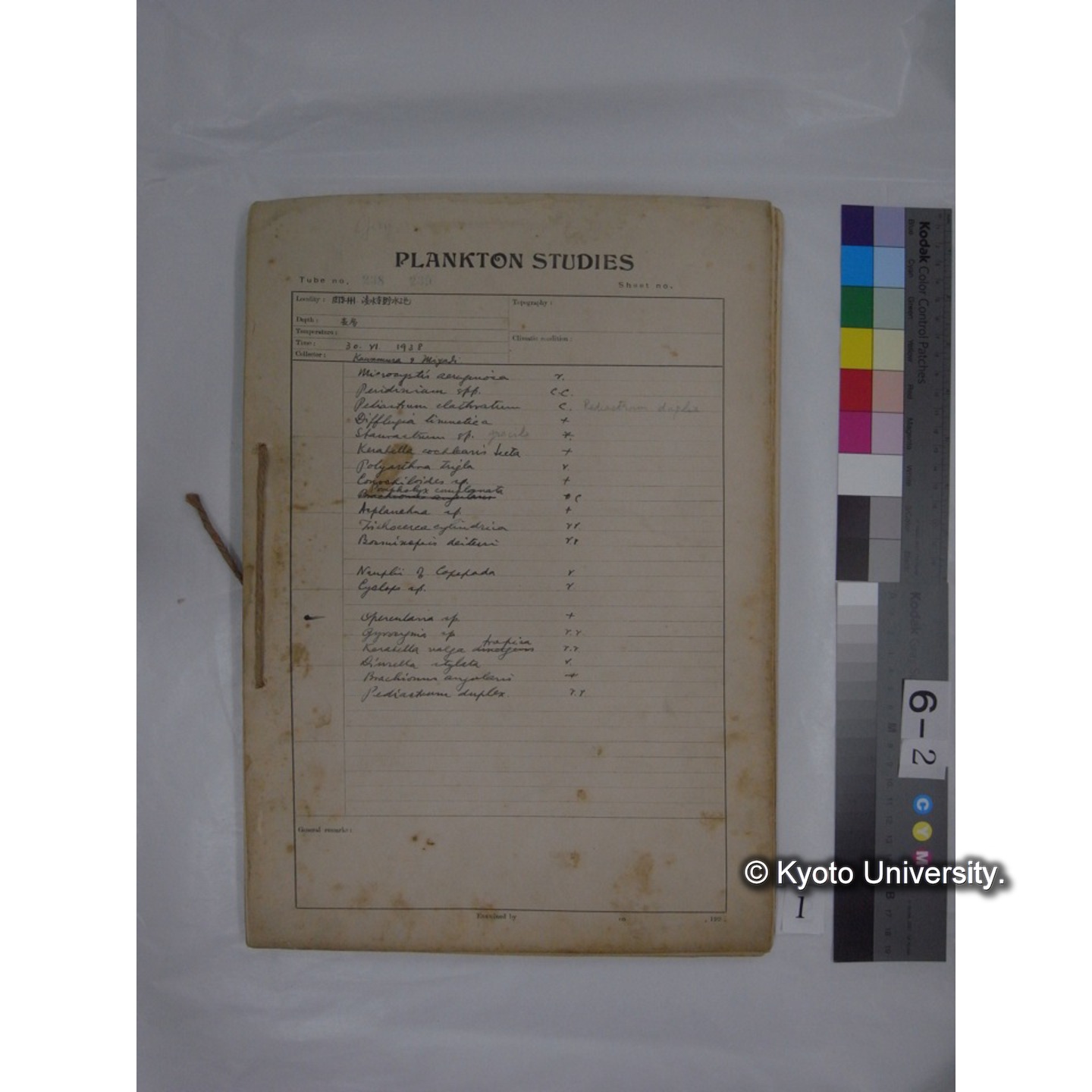 プランクトン標本調査カード (昭和13年,満州調査時採集標本) (1)